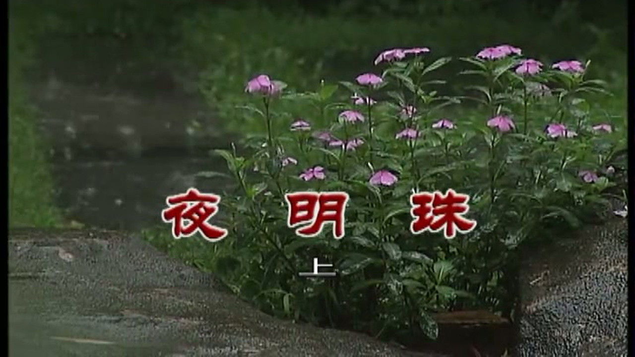 外来媳妇本地郎 — Épisode 2906