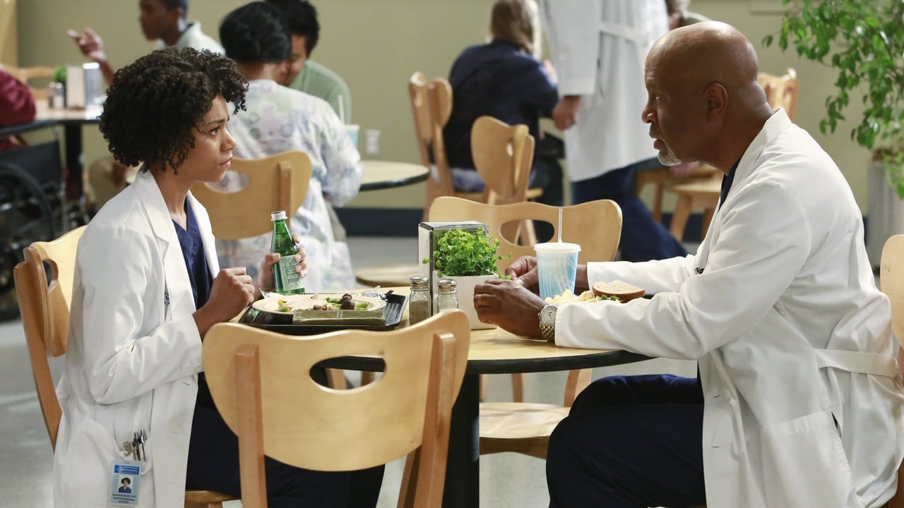 Grey's Anatomy - Season 11 Episode 2 : Puzzle with a Piece Missing