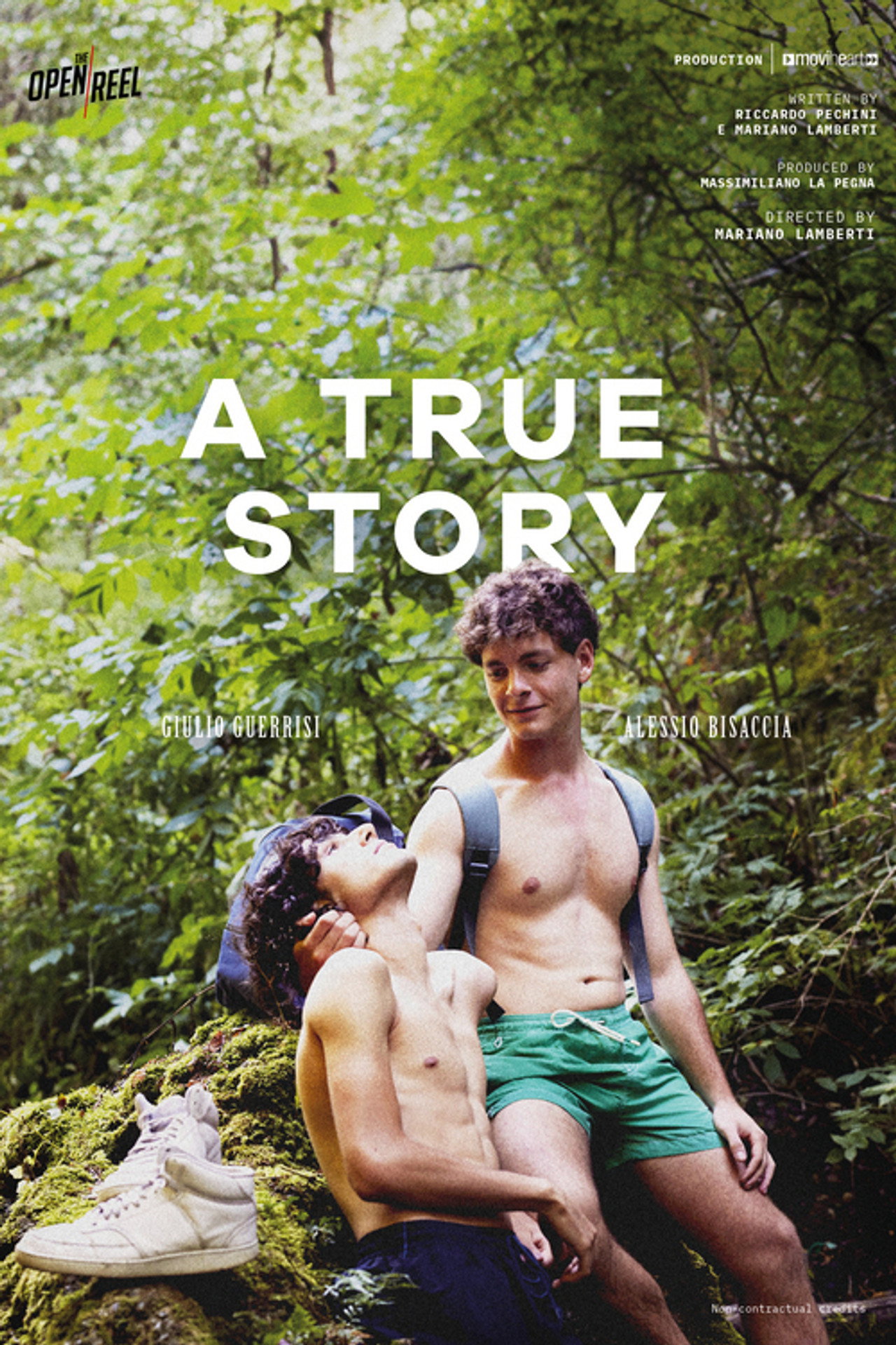 Una storia vera filmaffisch