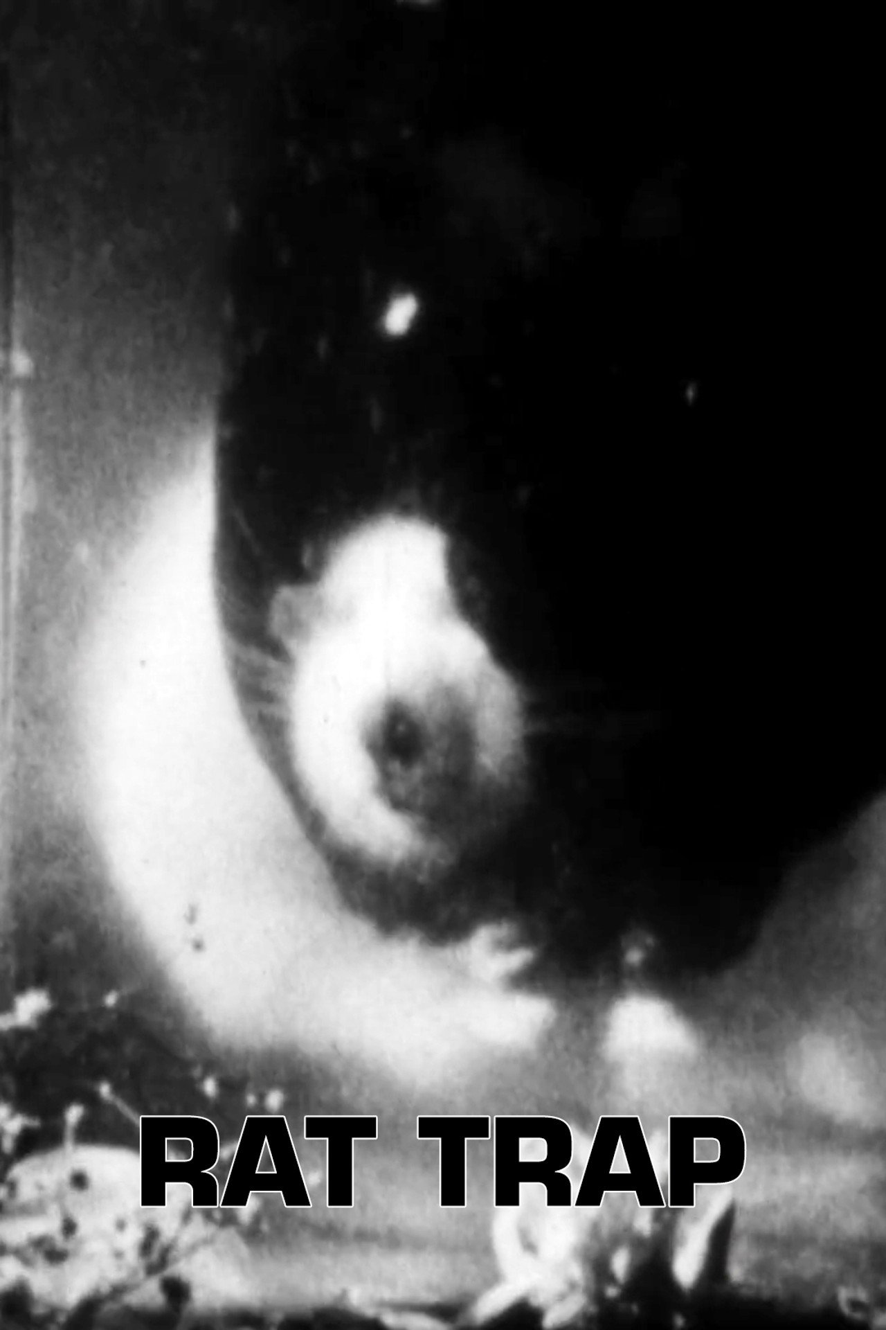 Rat Trap filmaffisch
