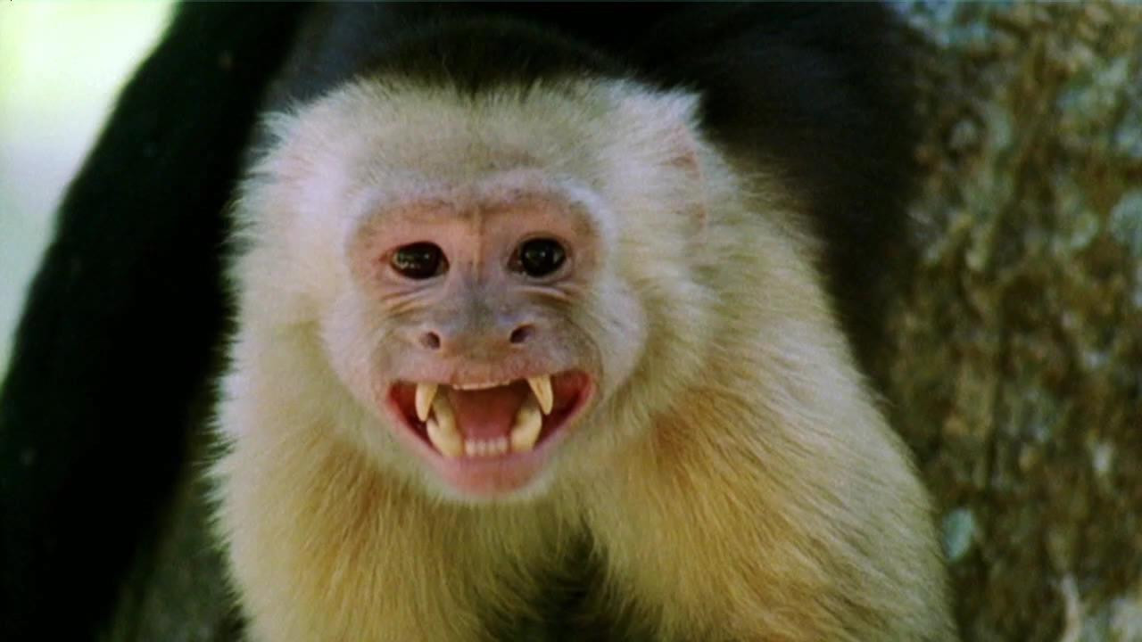 World's Weirdest — Épisode 1