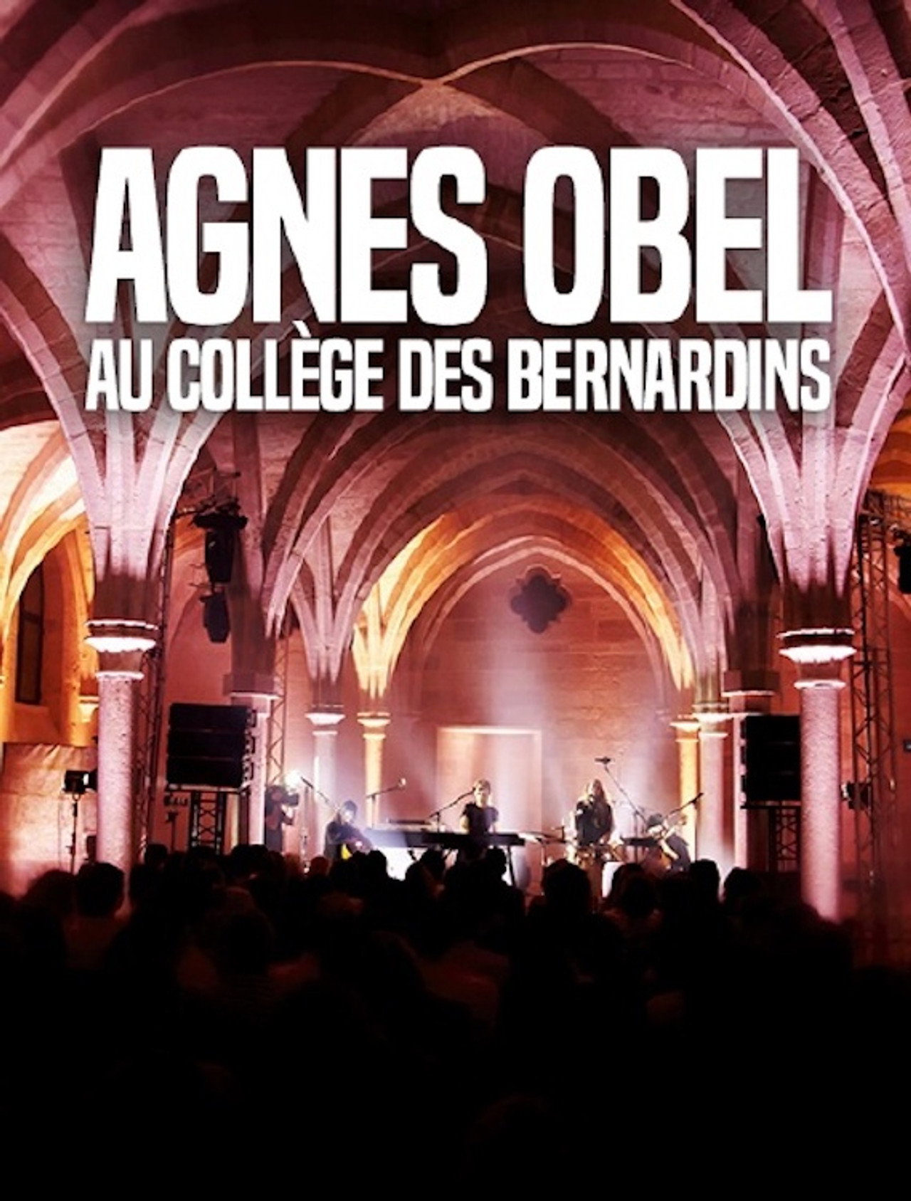 Agnes Obel en concert Collège des Bernardins, Paris Backdrop