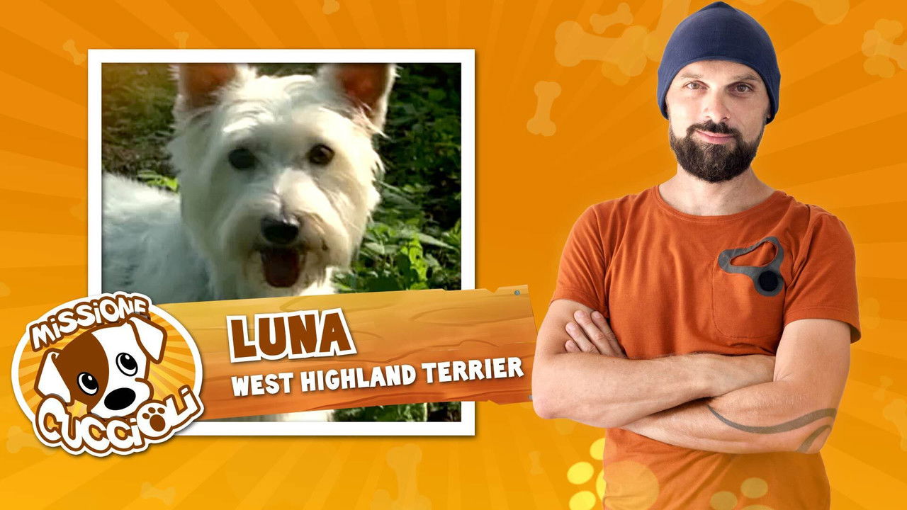 Missione cuccioli — Épisode 3