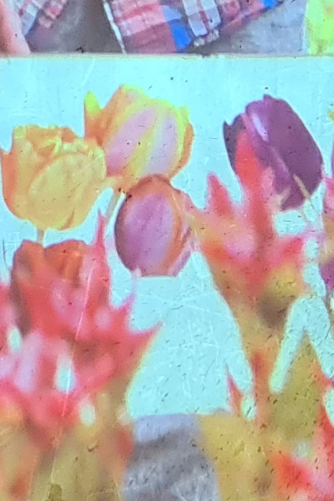 jolies fleurs une vie meilleure filmaffisch