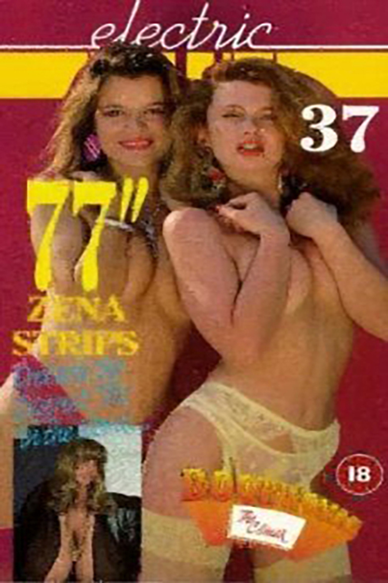 Electric Blue 37 Backdrop