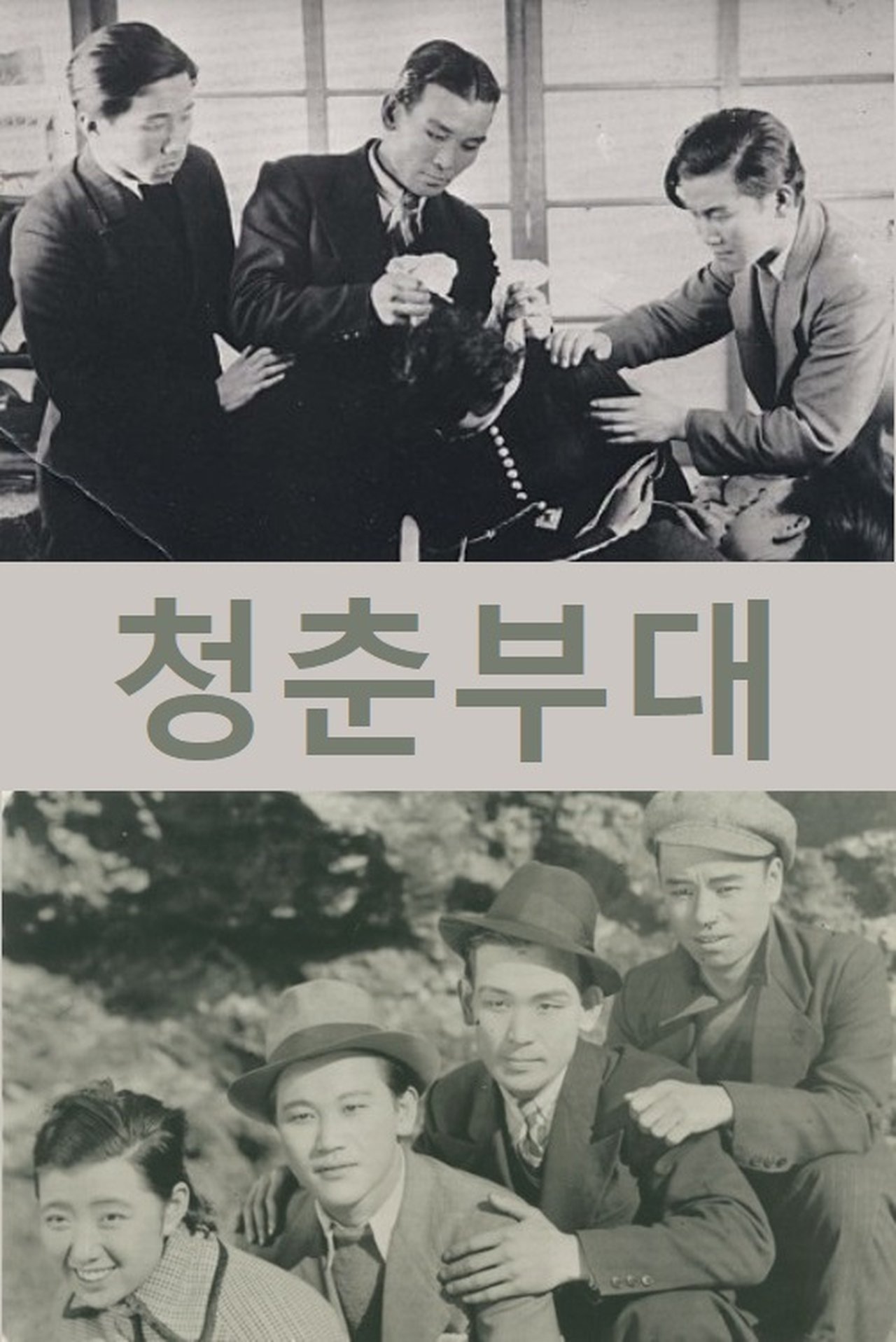 청춘부대 청춘부대