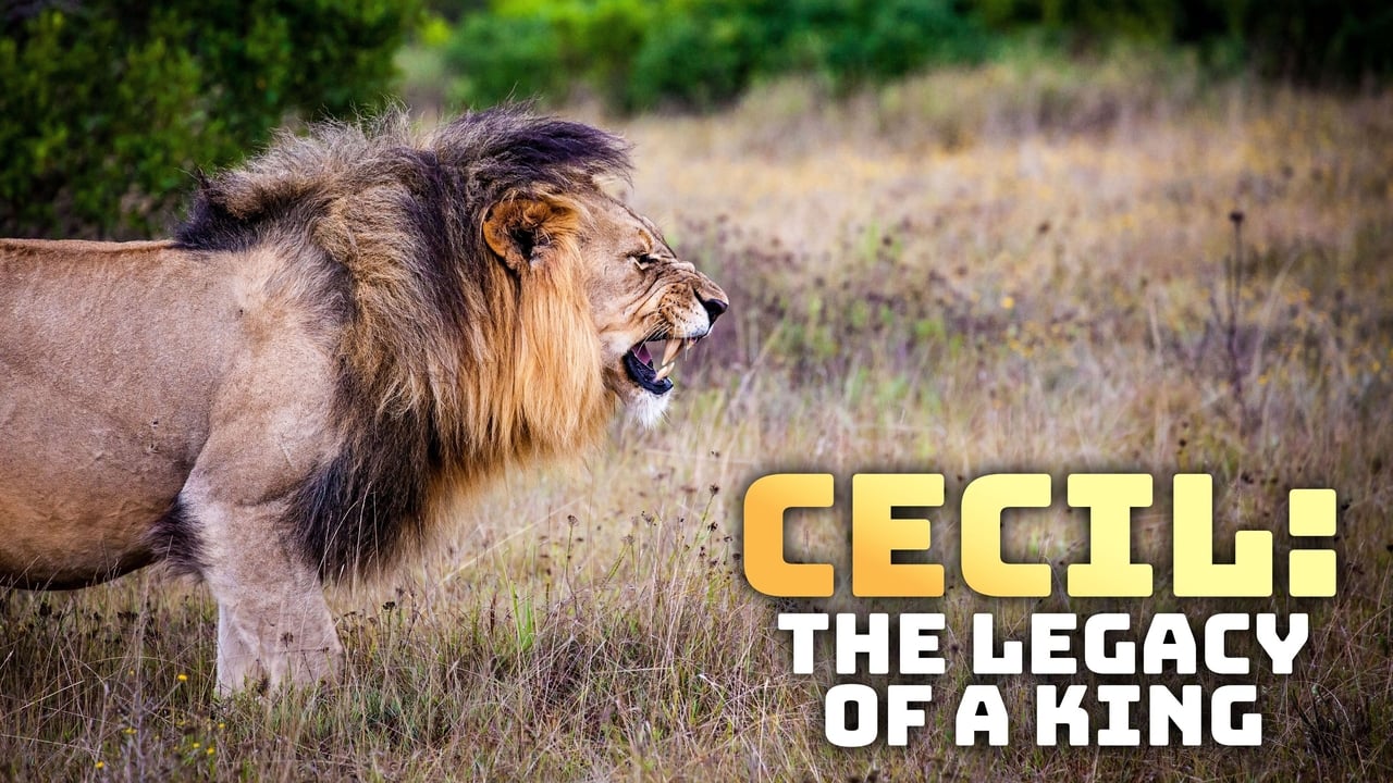 Cecil: The Legacy of a King background