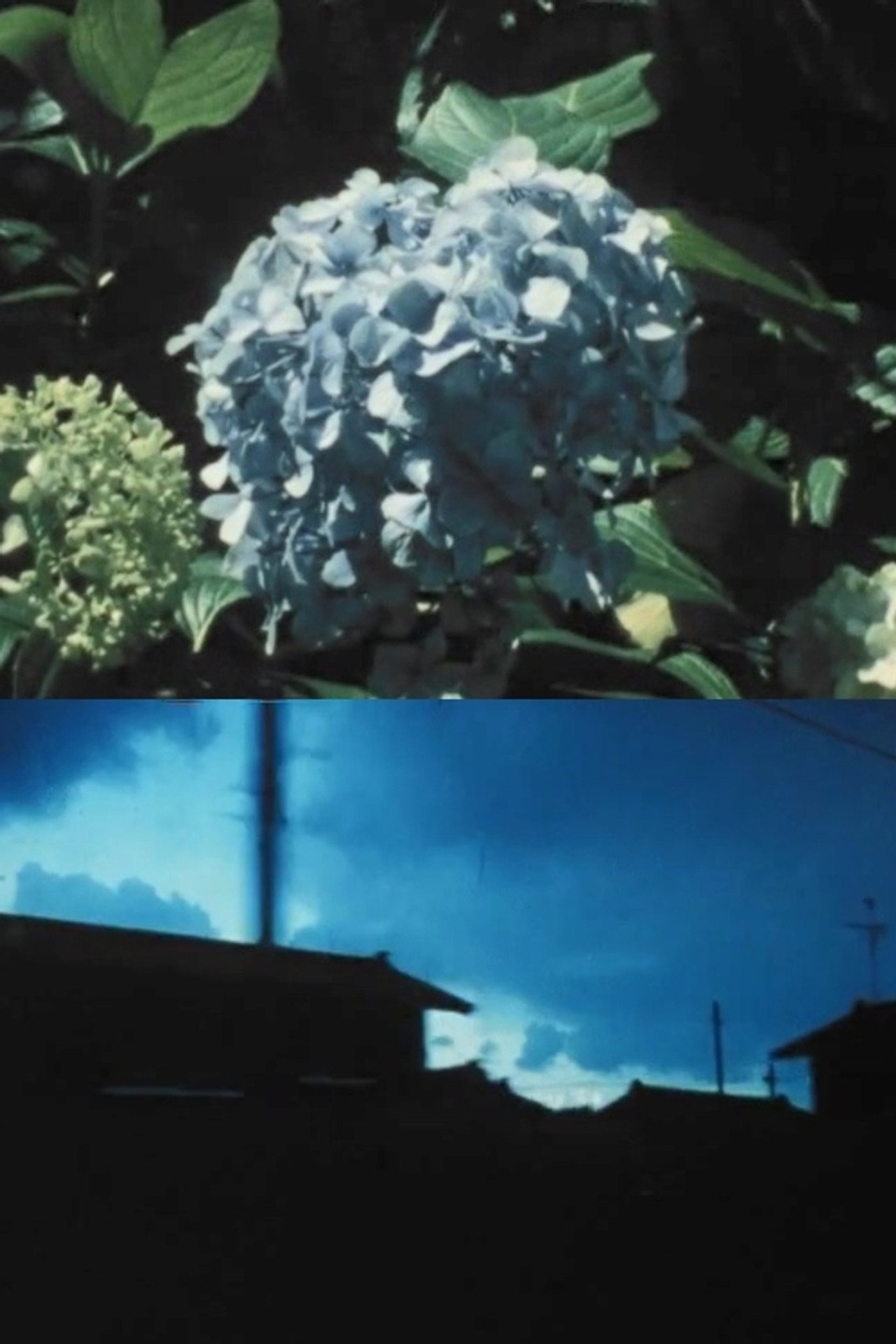 あじさいならい filmaffisch
