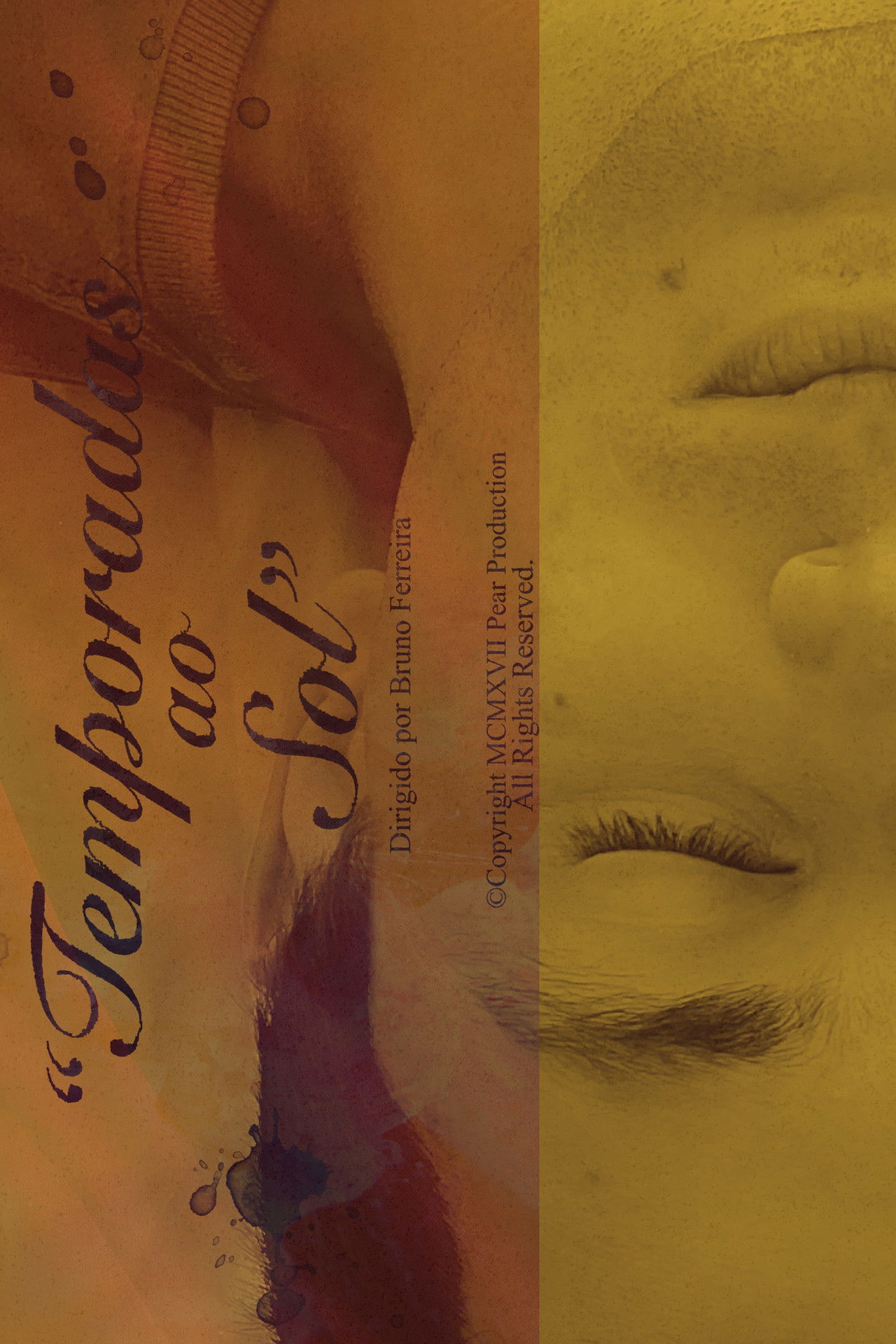 Temporadas ao Sol poster