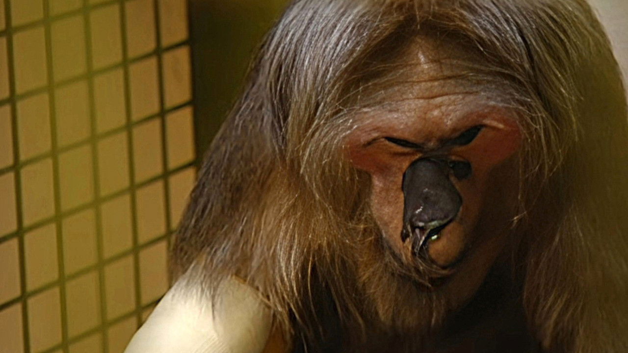 Monkey Business — Épisode 9