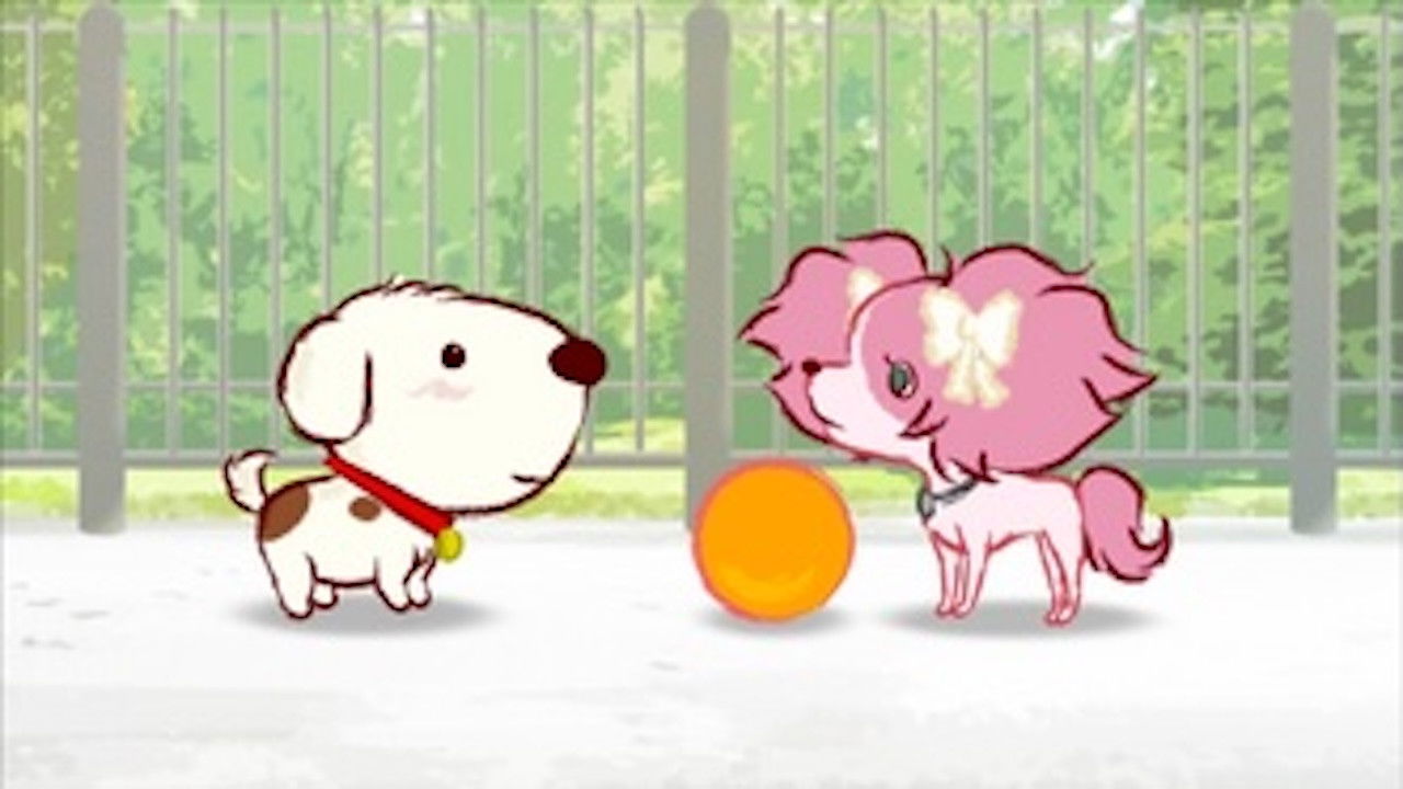 リトル・チャロ — Épisode 5