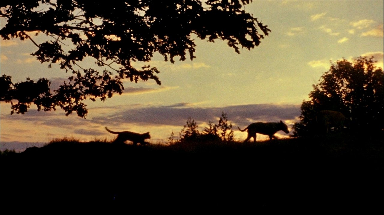 title image