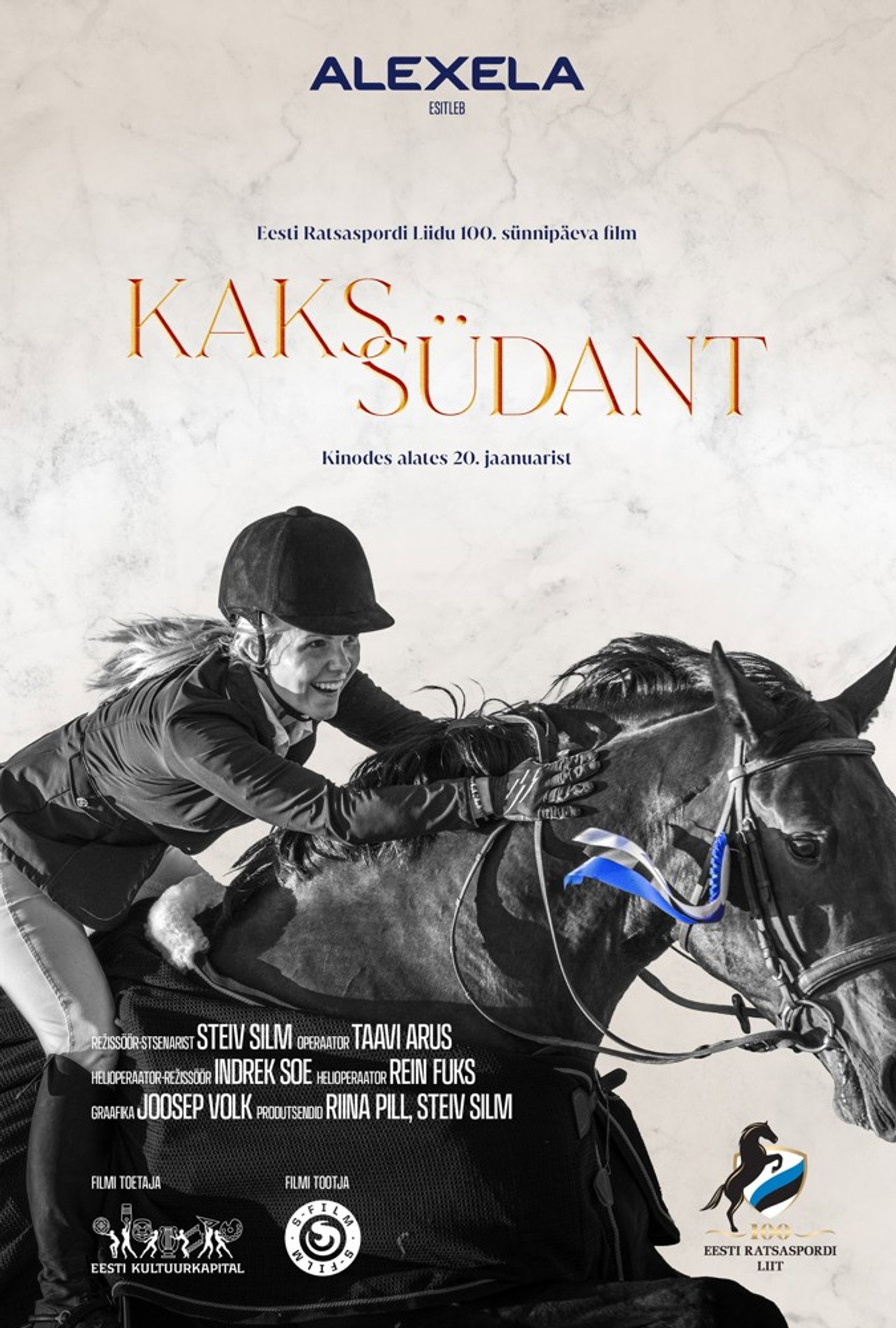 Kaks Südant filmaffisch