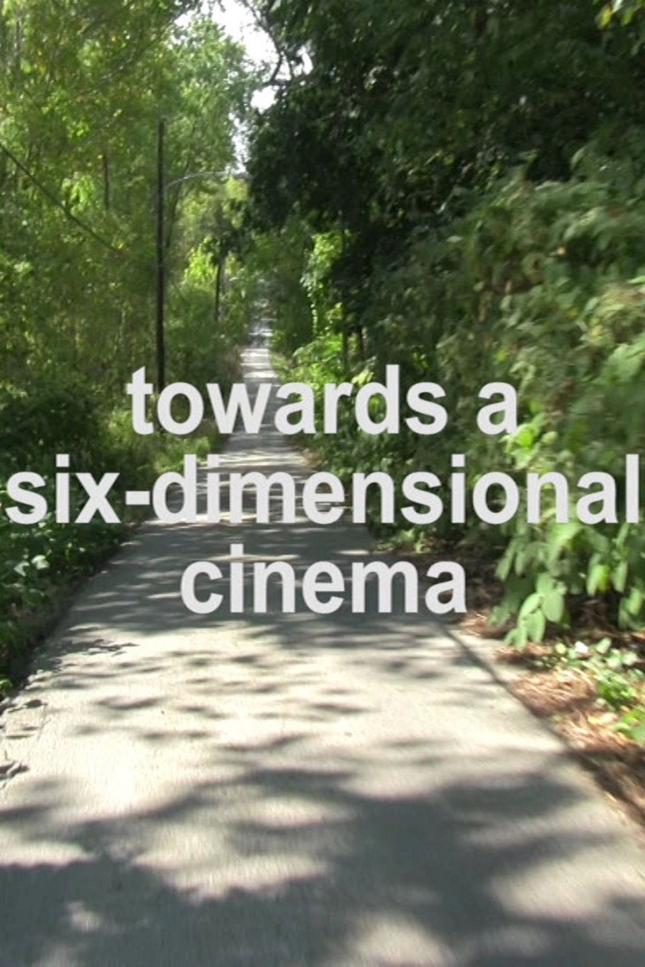 Towards a Six-Dimensional Cinema filmaffisch