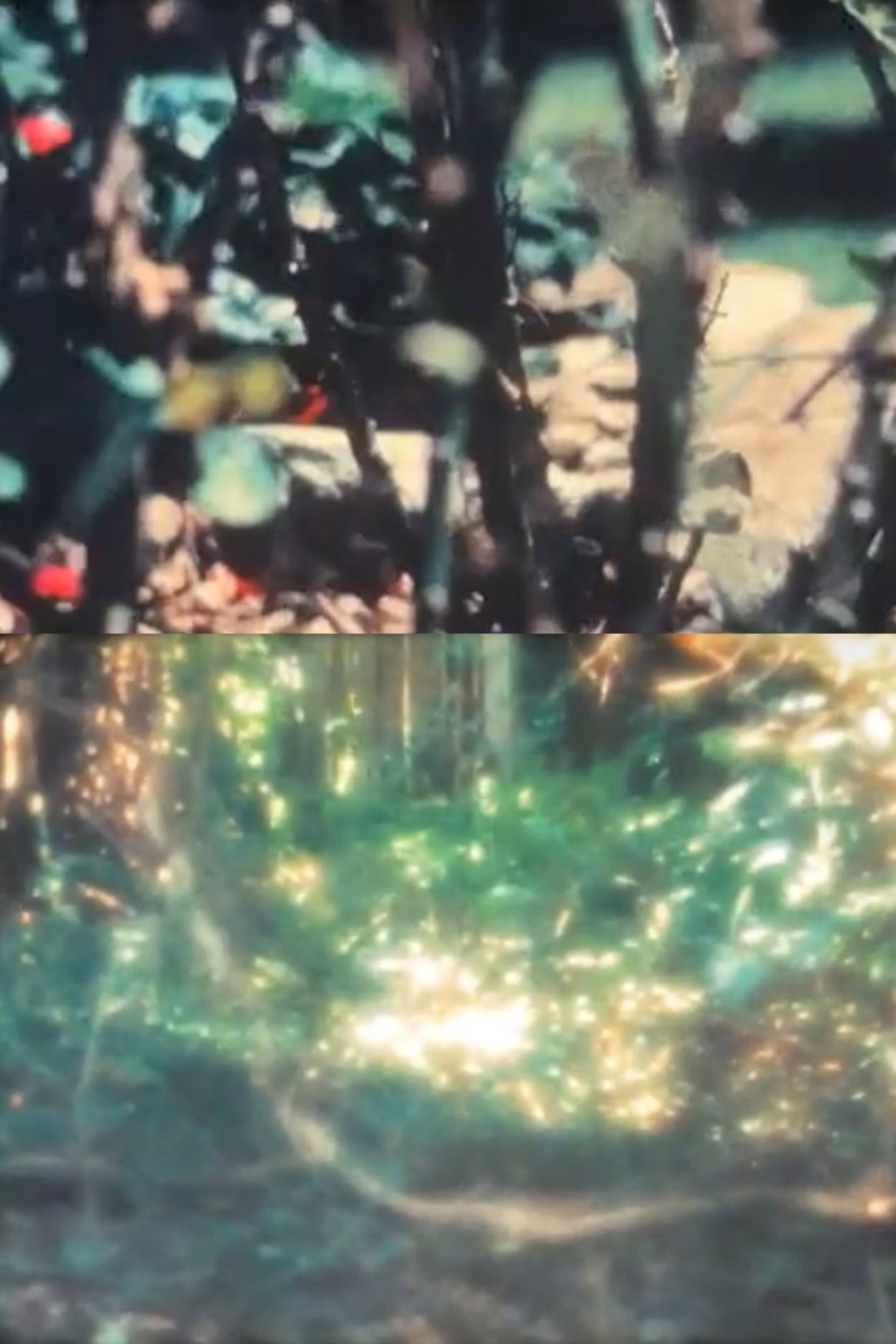 Reseeding Air filmaffisch