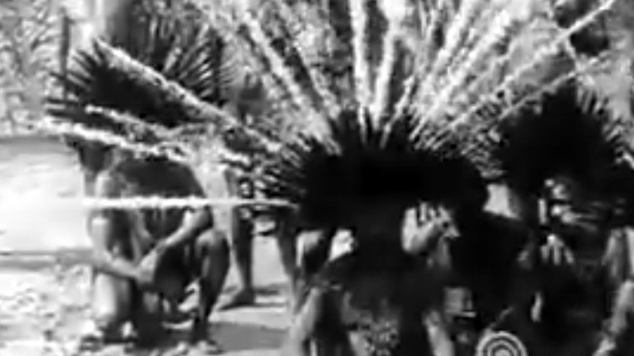 Backdrop for Bororo Rituals and Festivals