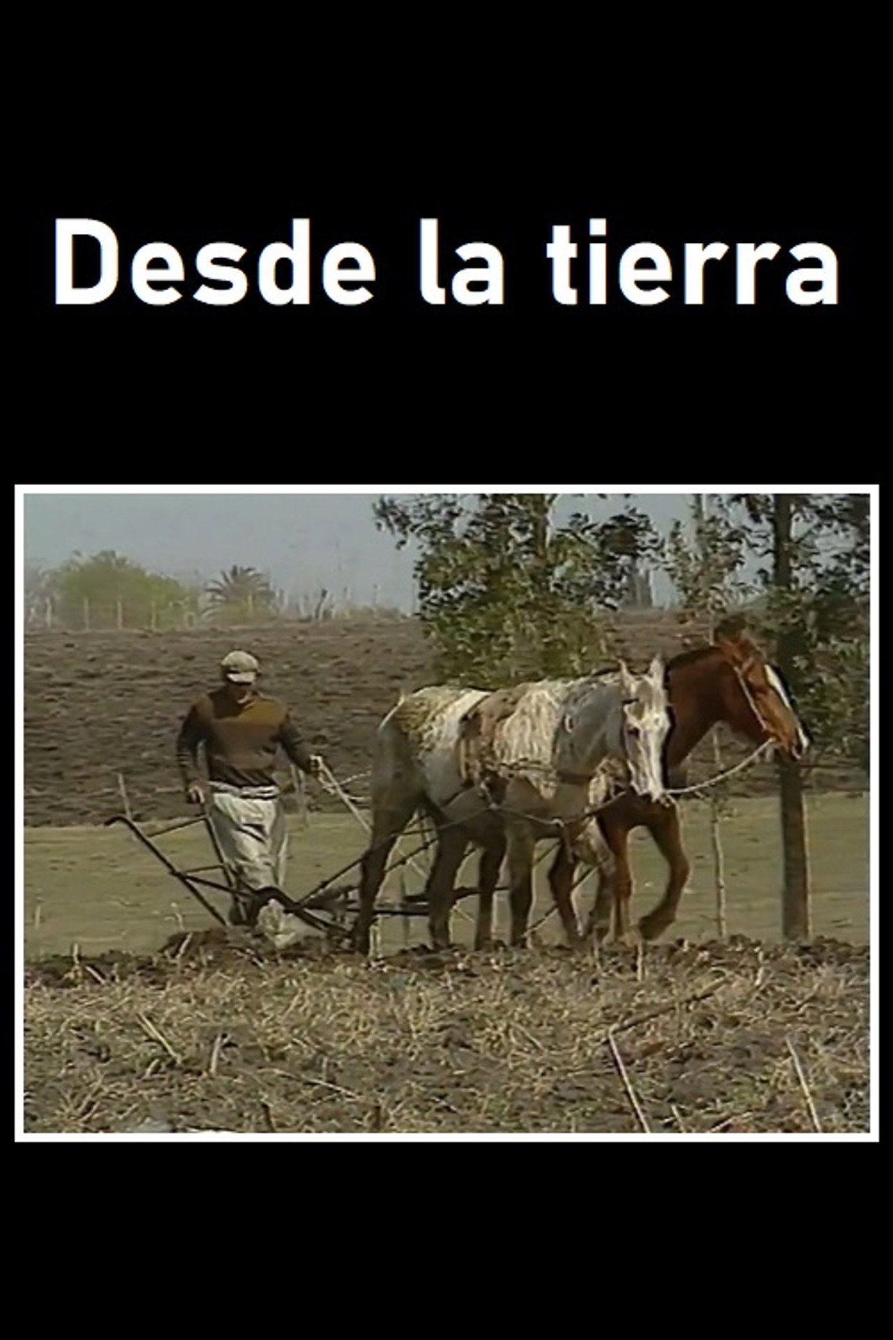 Desde la tierra filmaffisch