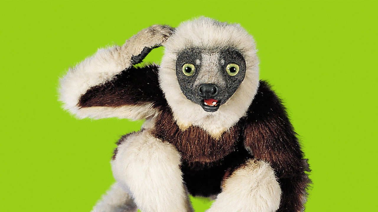 Zoboomafoo backdrop image
