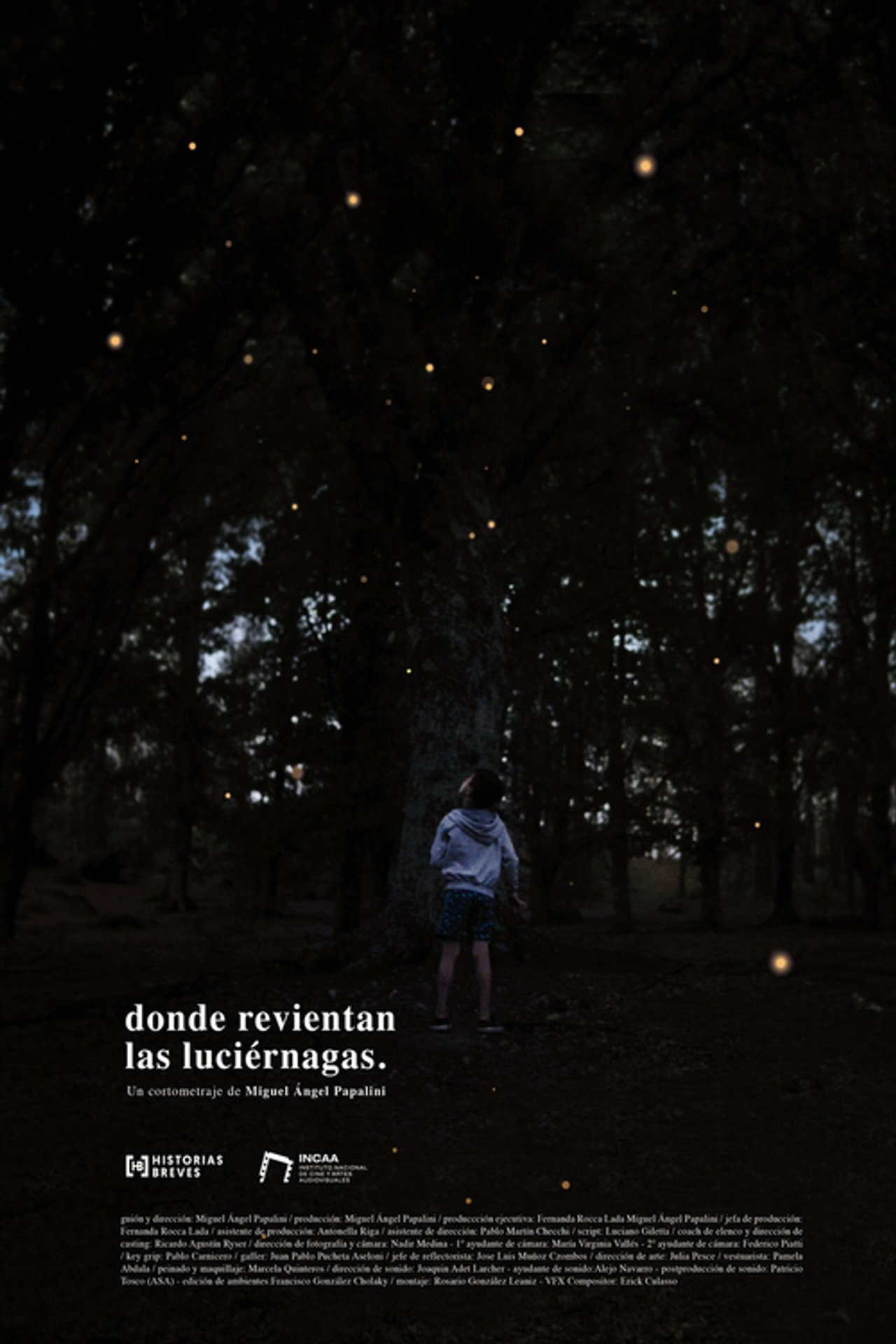 Where the fireflies burst