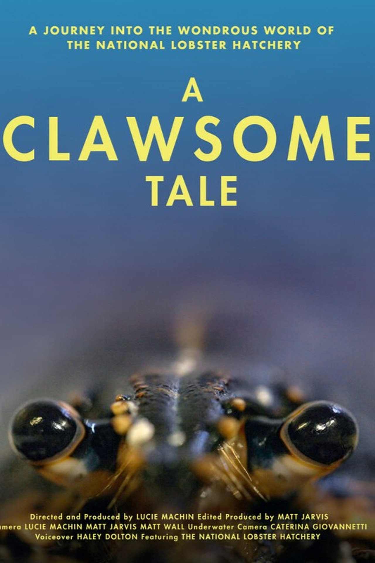 A Clawsome Tale