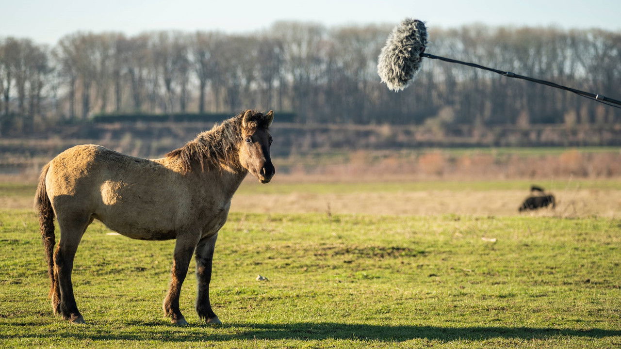 Tegenlicht — Épisode 12