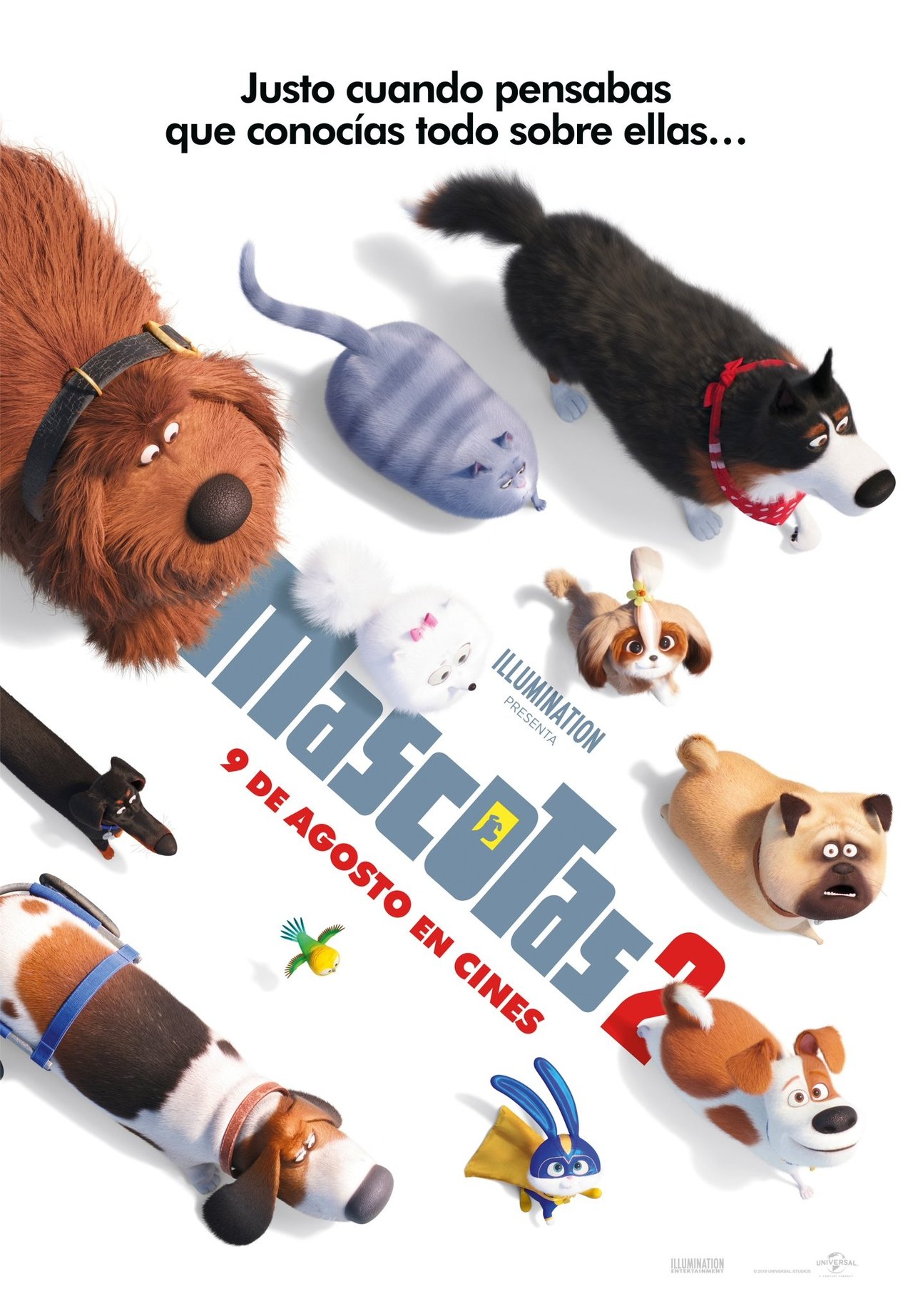 the secret life of pets watch online stream the secret life of pets watch online stream