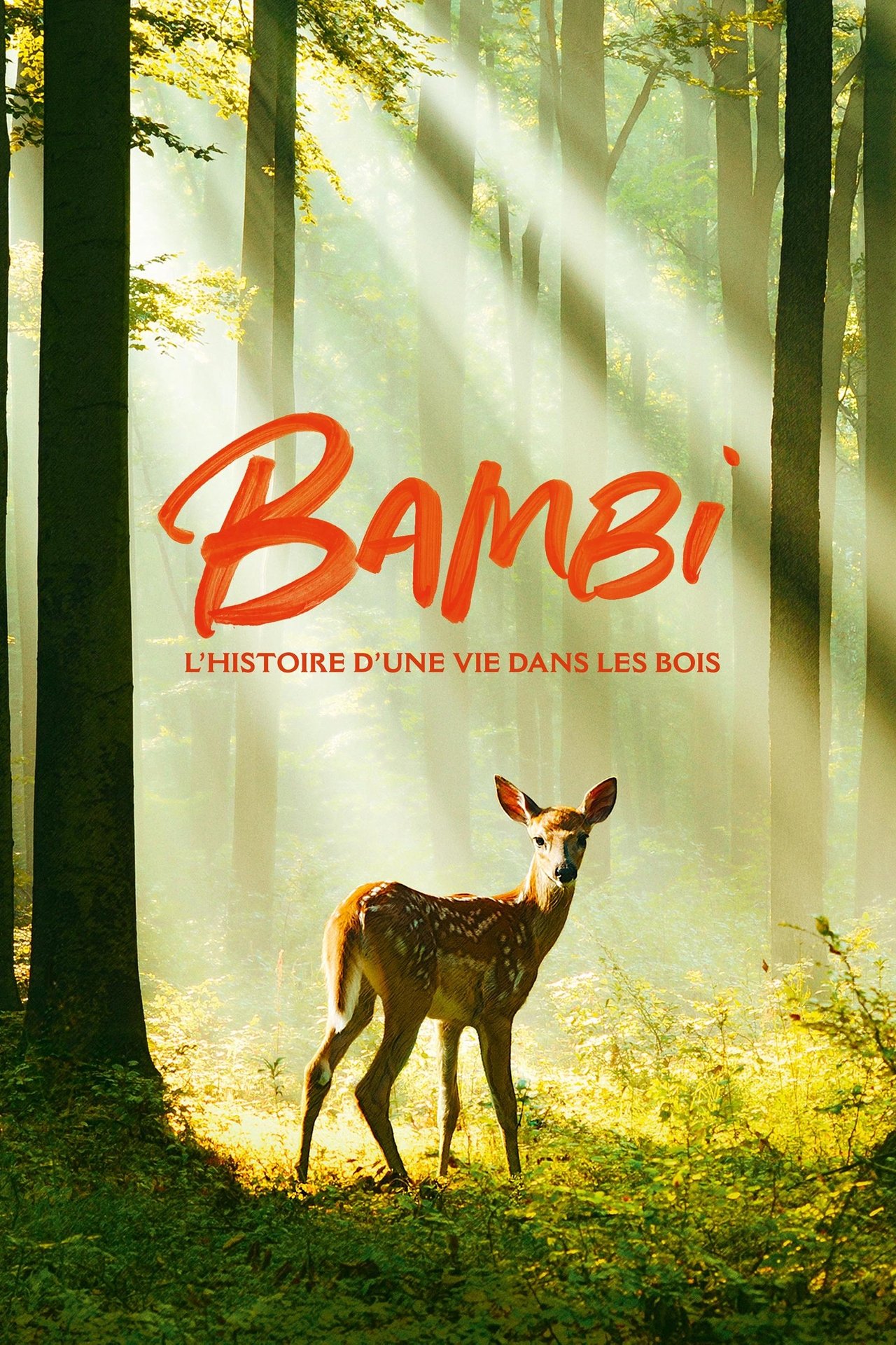 مشاهدة فيلم Bambi: A Life in the Woods مترجم بدون اعلانات - بوستر