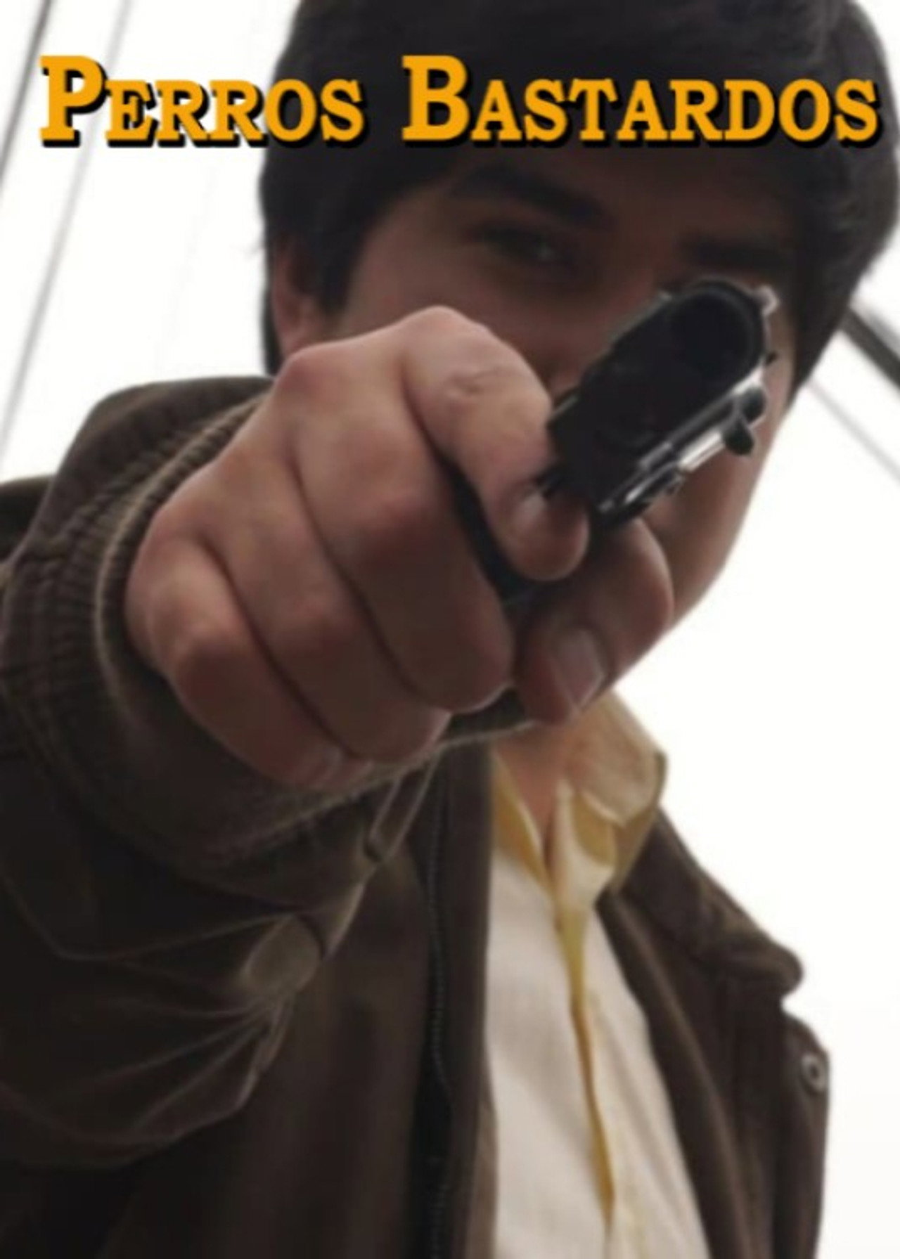 Perros Bastardos poster