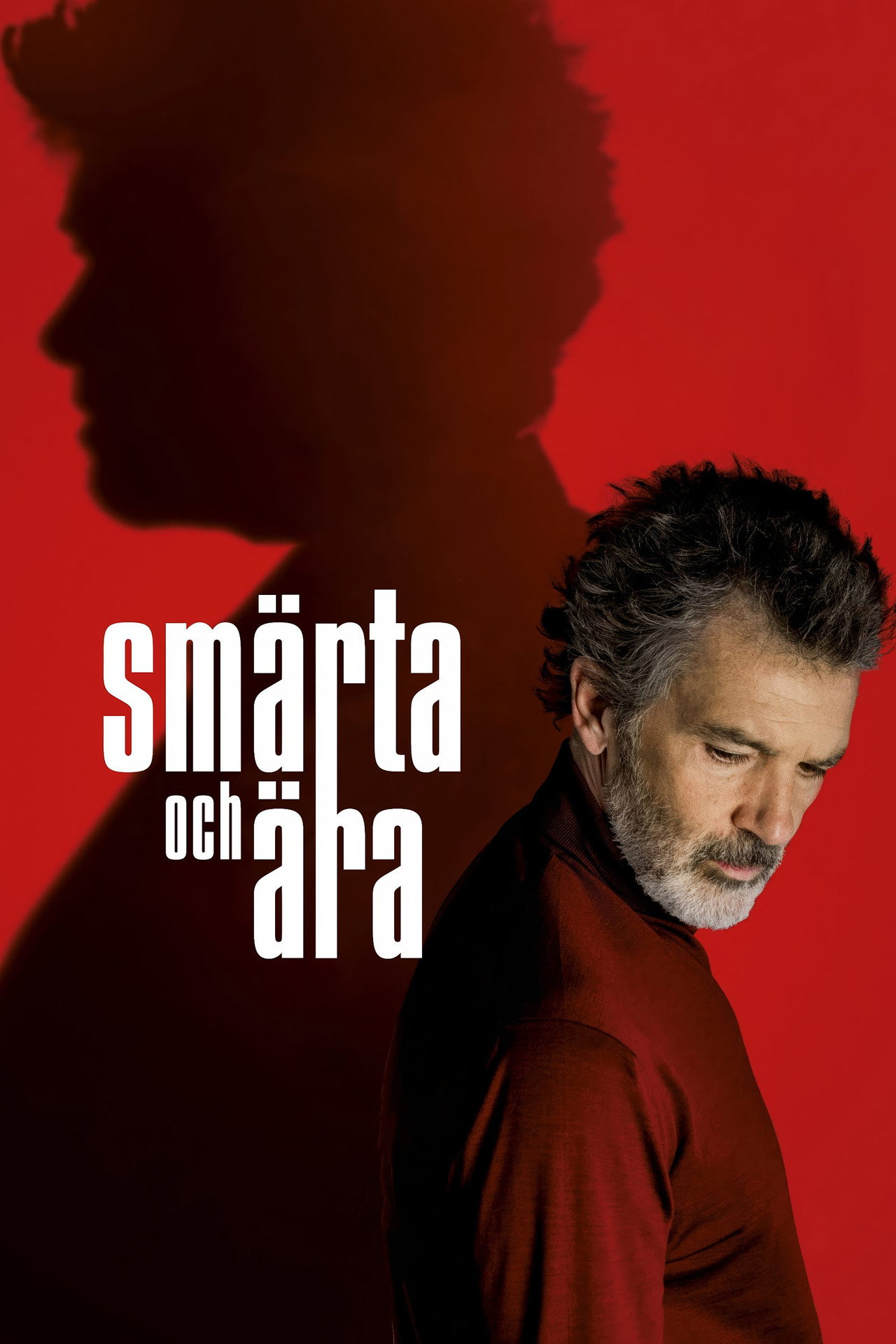 Smärta och ära filmaffisch