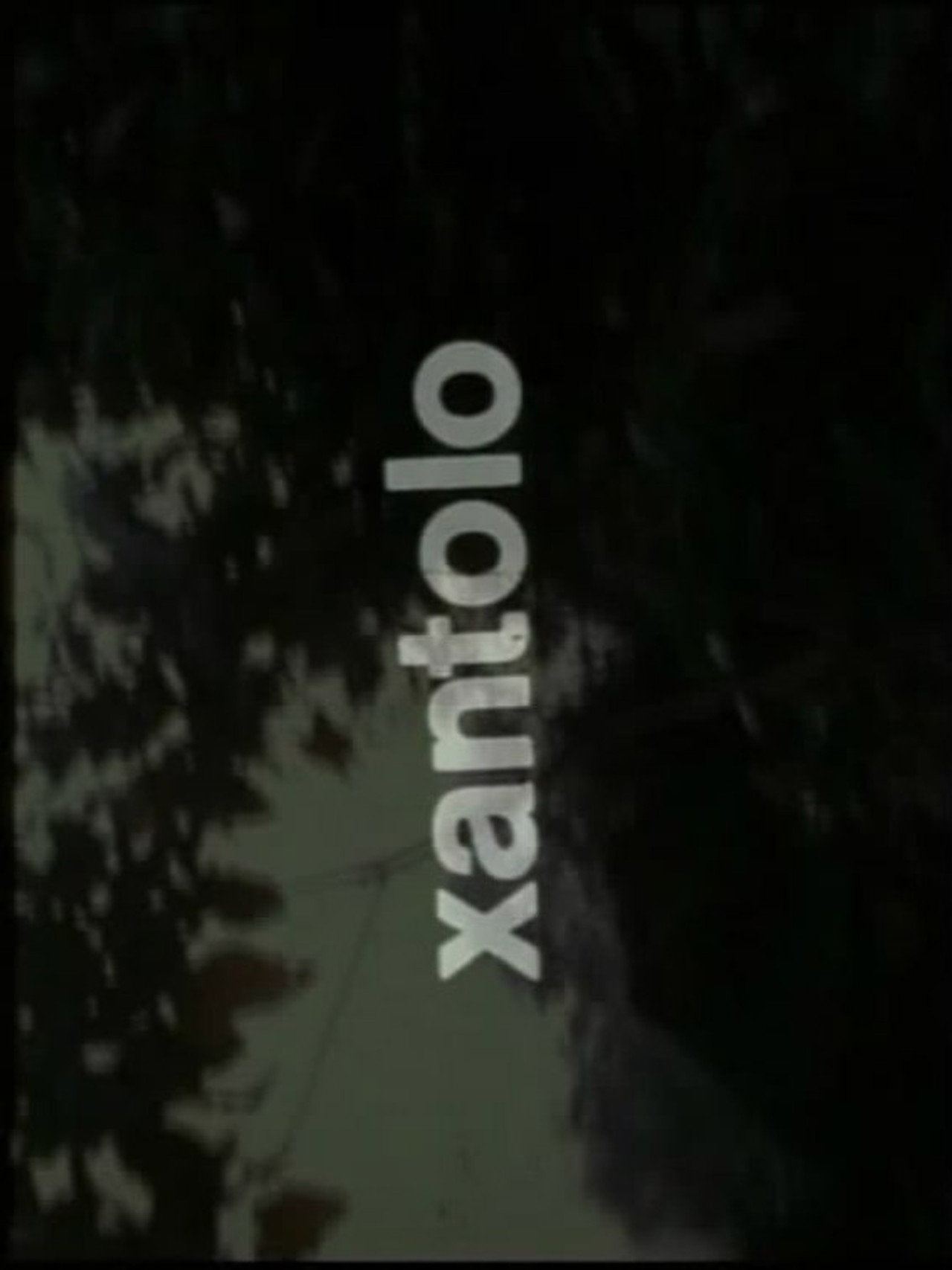 Xantolo, fiesta de la muerte filmaffisch