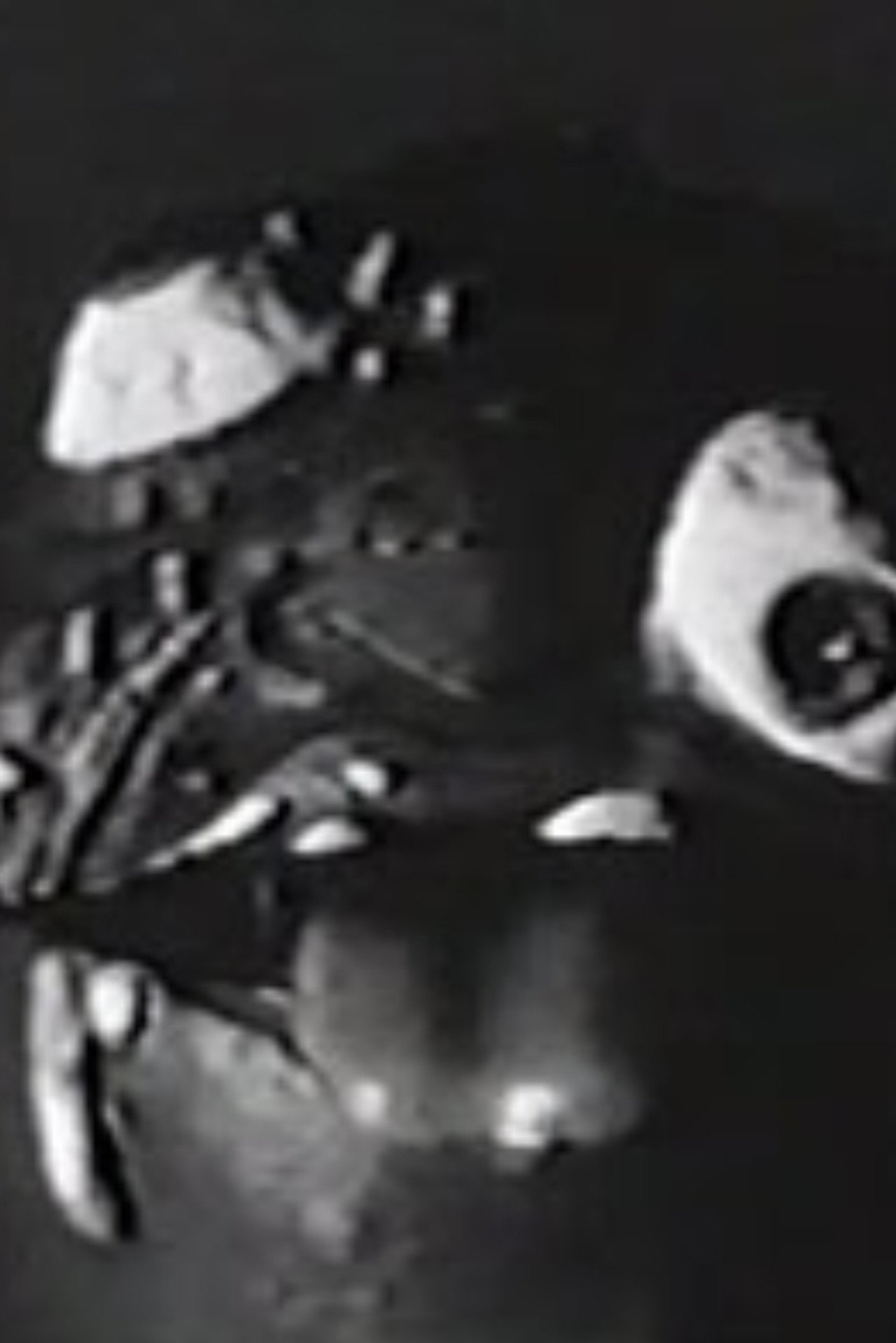Madball filmaffisch