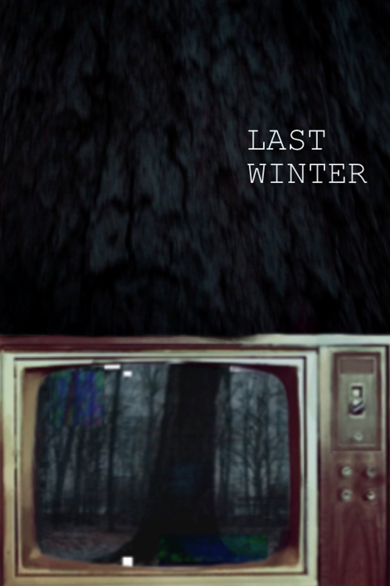 Last Winter filmaffisch