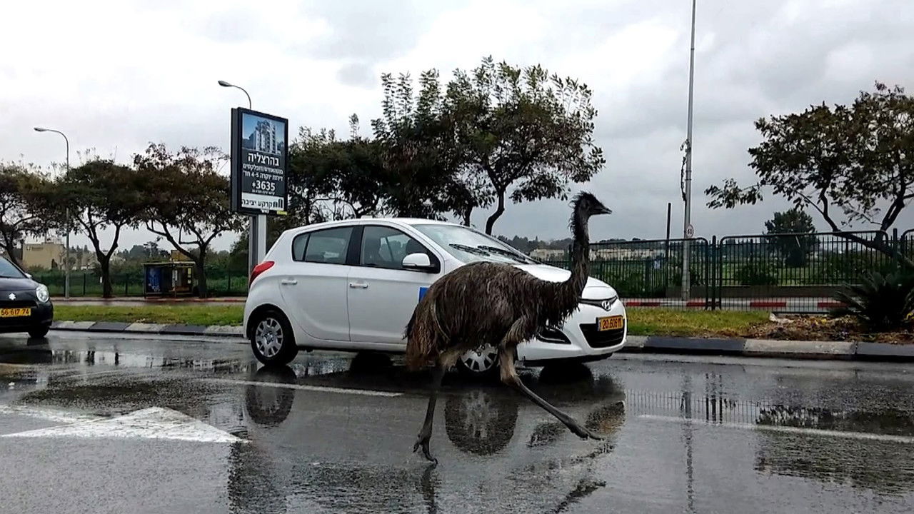 Caméras à bord — Épisode 6