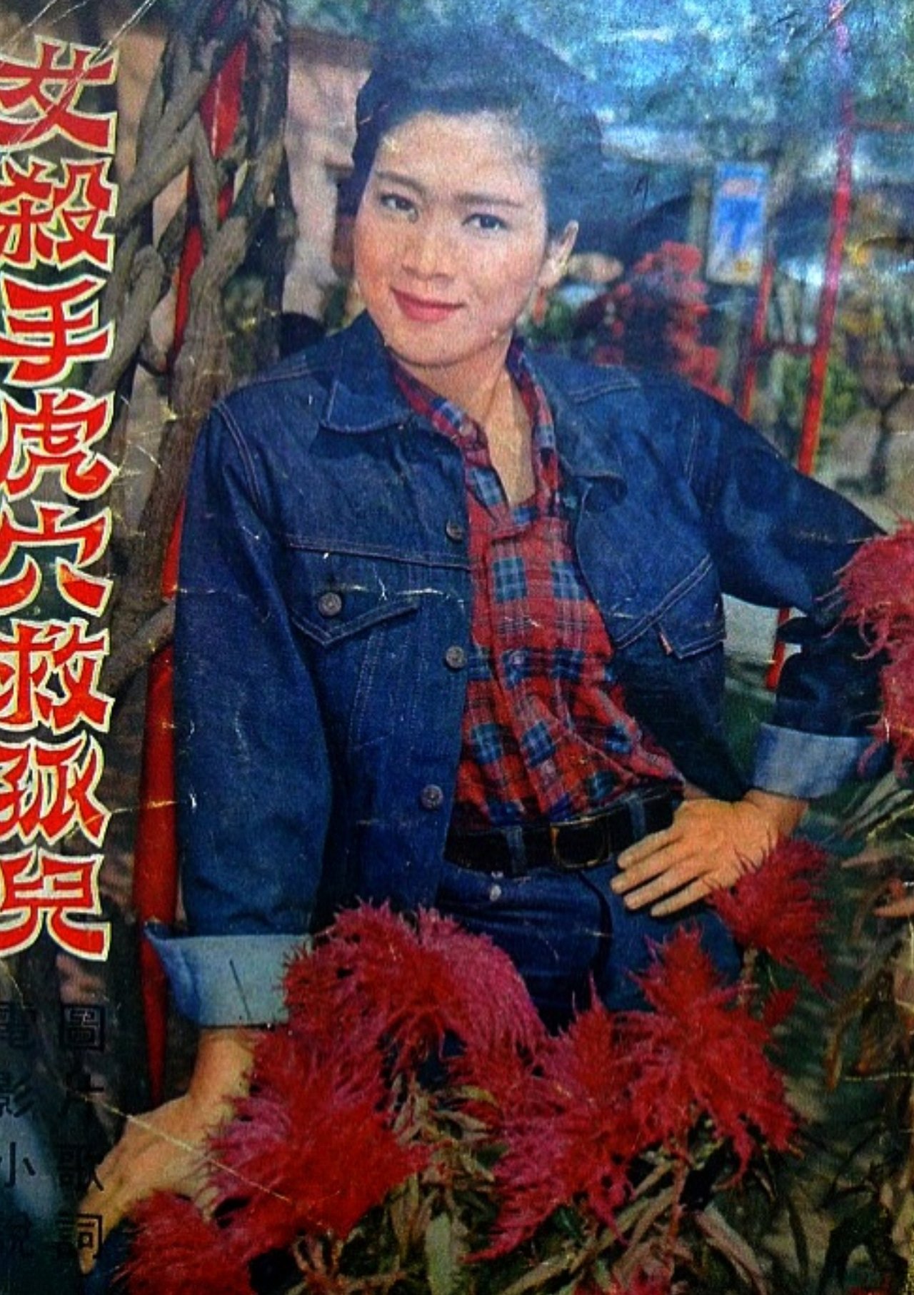 女殺手虎穴救孤兒 女殺手虎穴救孤兒