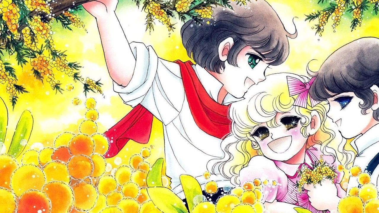 Lady Georgie — still 8