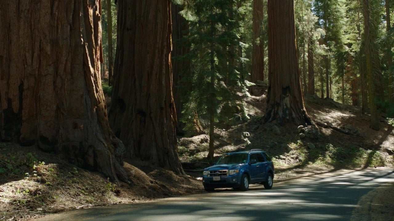 Scen från Sequoia