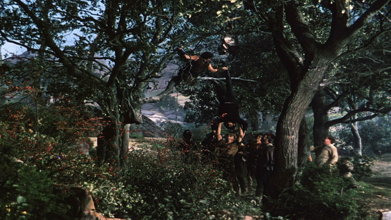 The Flame and the Arrow backdrop