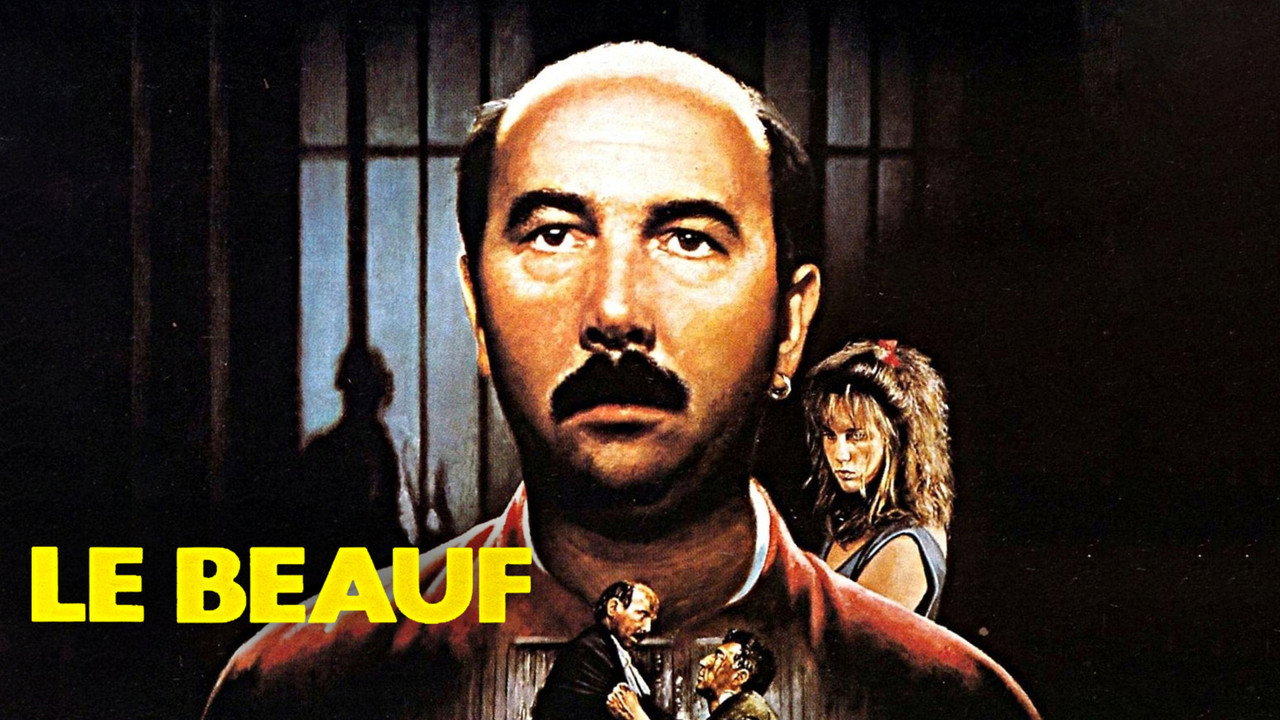Galerie du film — 3