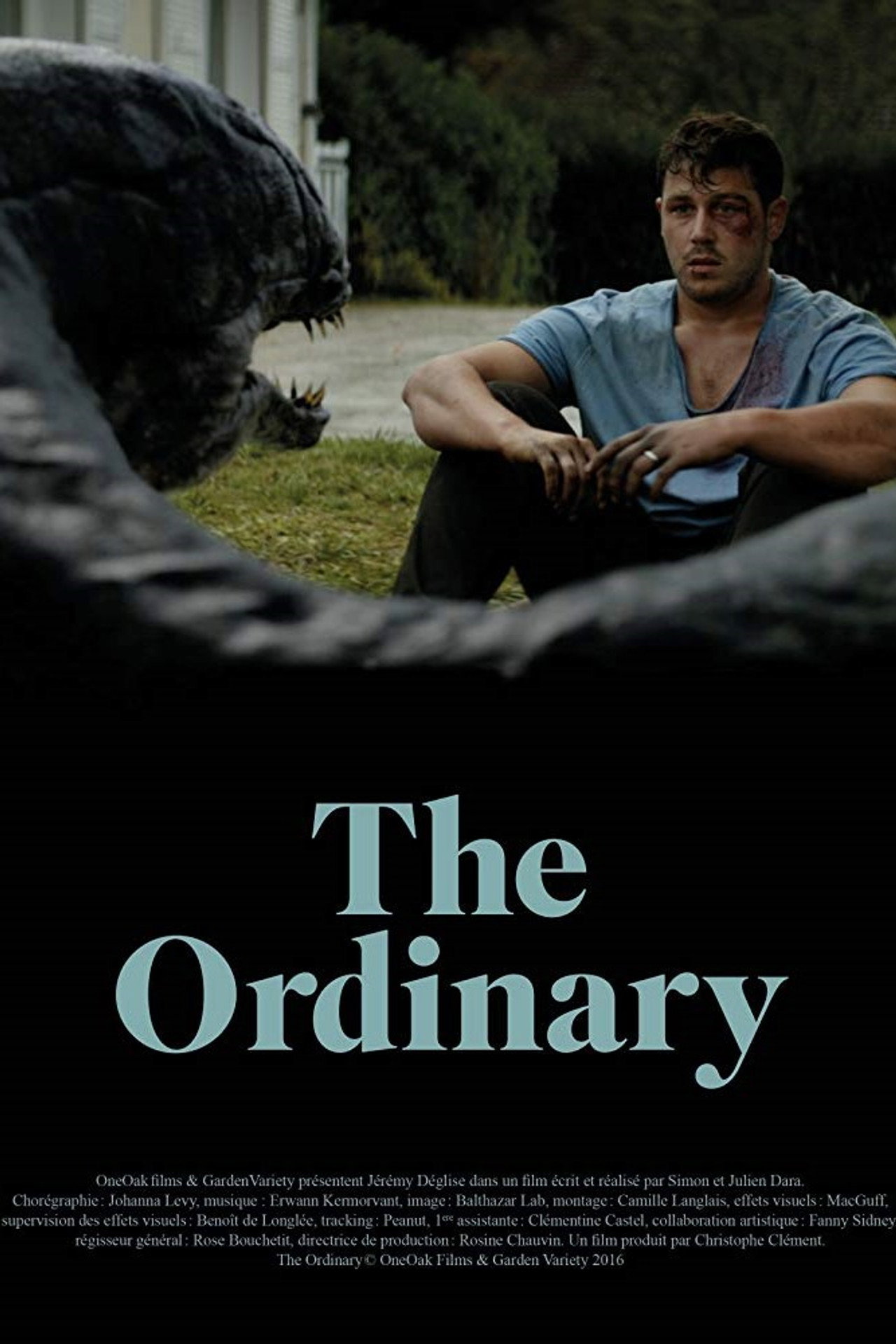 The Ordinary filmaffisch