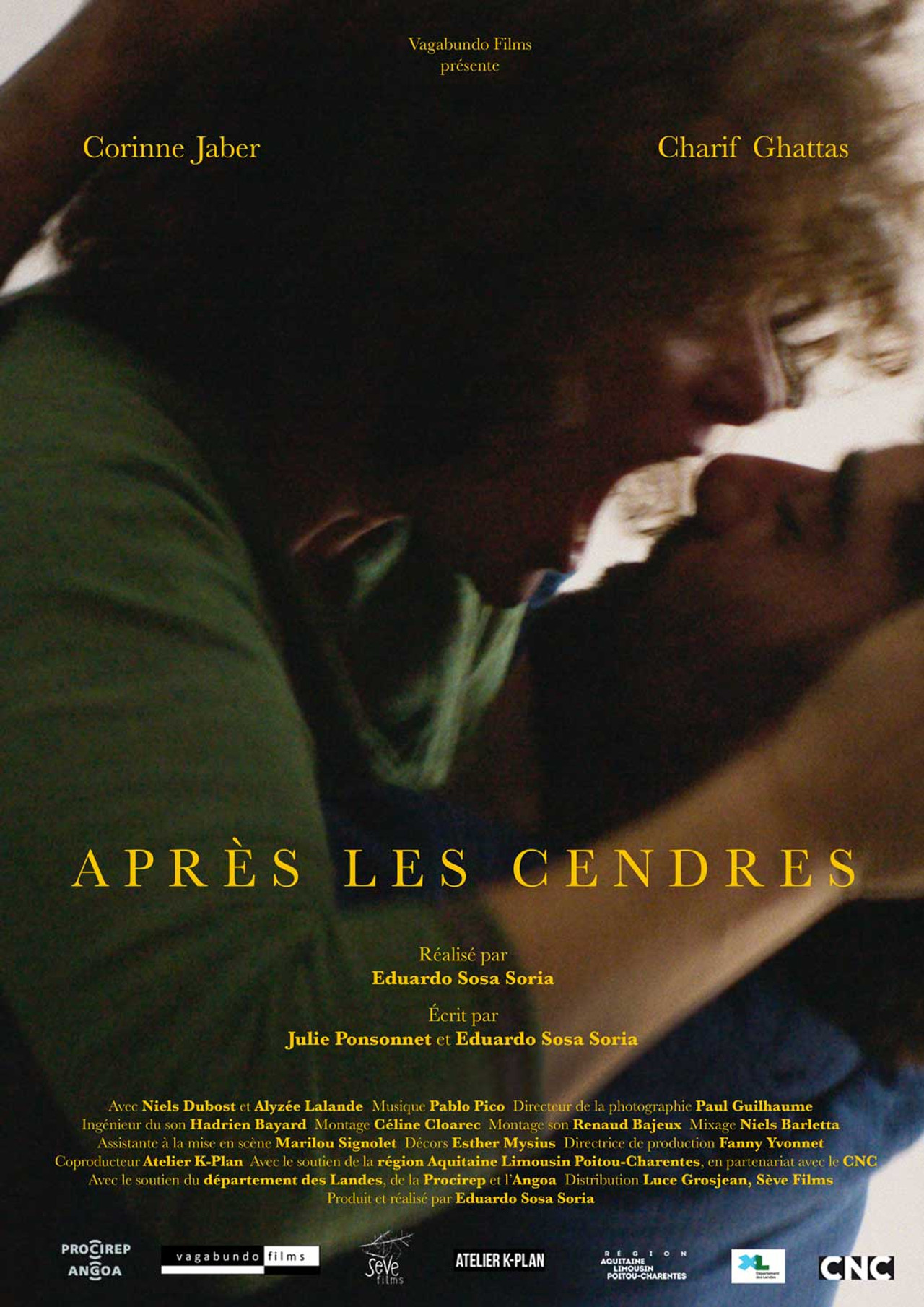 After the Ashes Backdrop