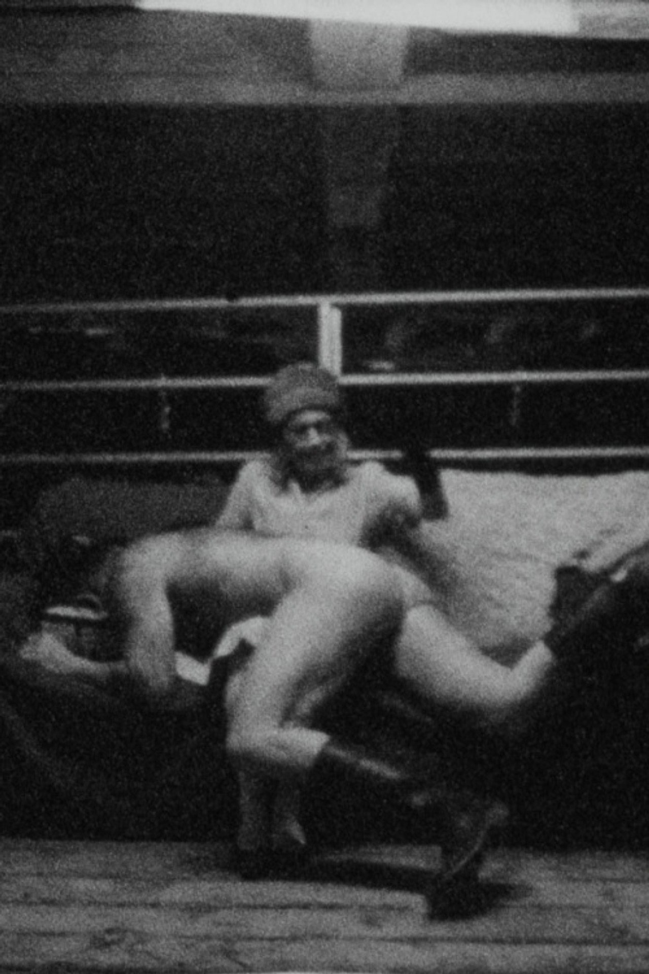 Dark, Scenes from the Barn filmaffisch