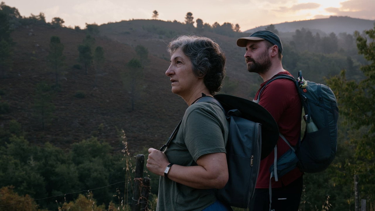 Watch Walking Holiday (2026) online free in HD