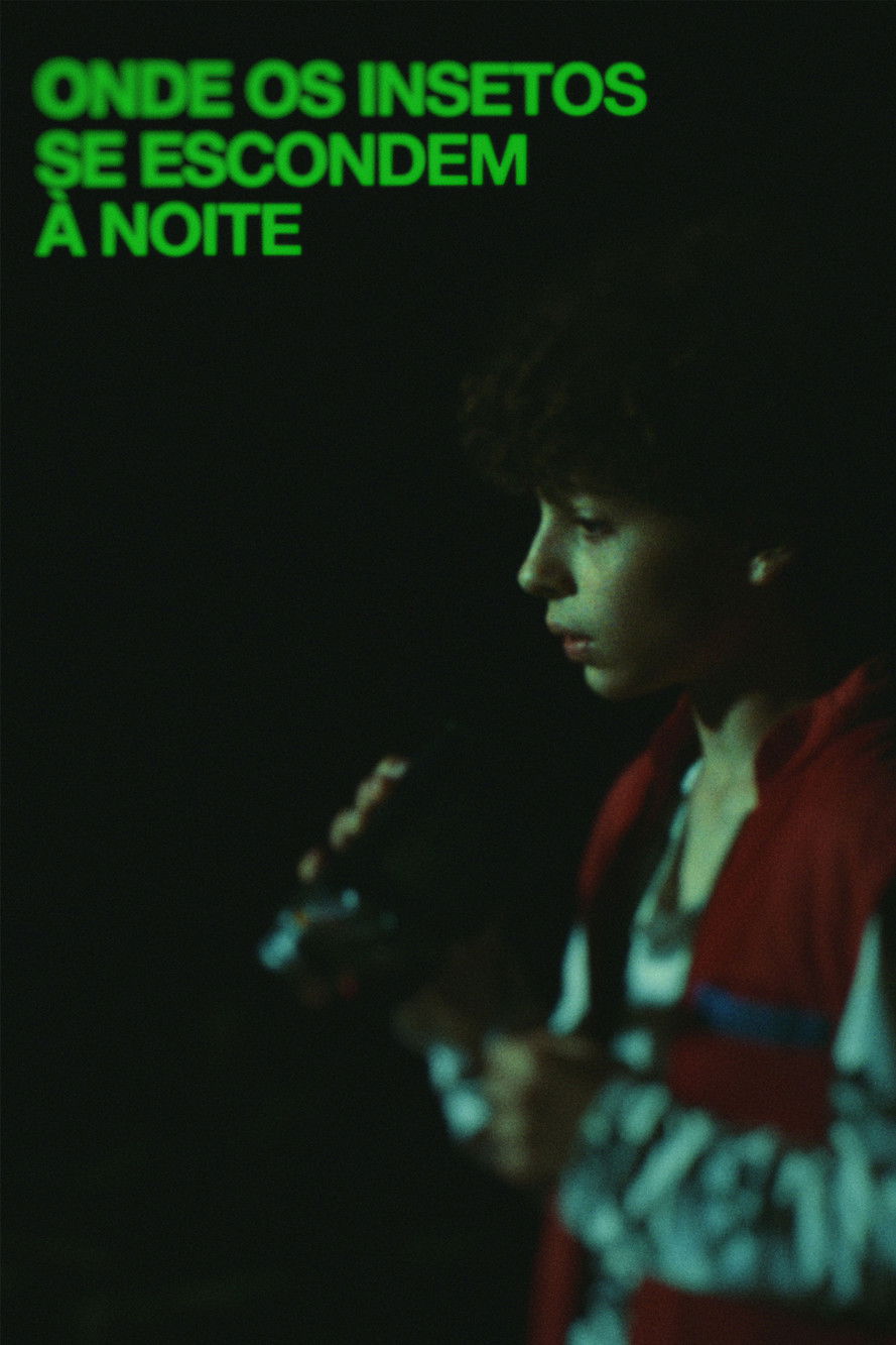 Where Insects Hide at Night Backdrop