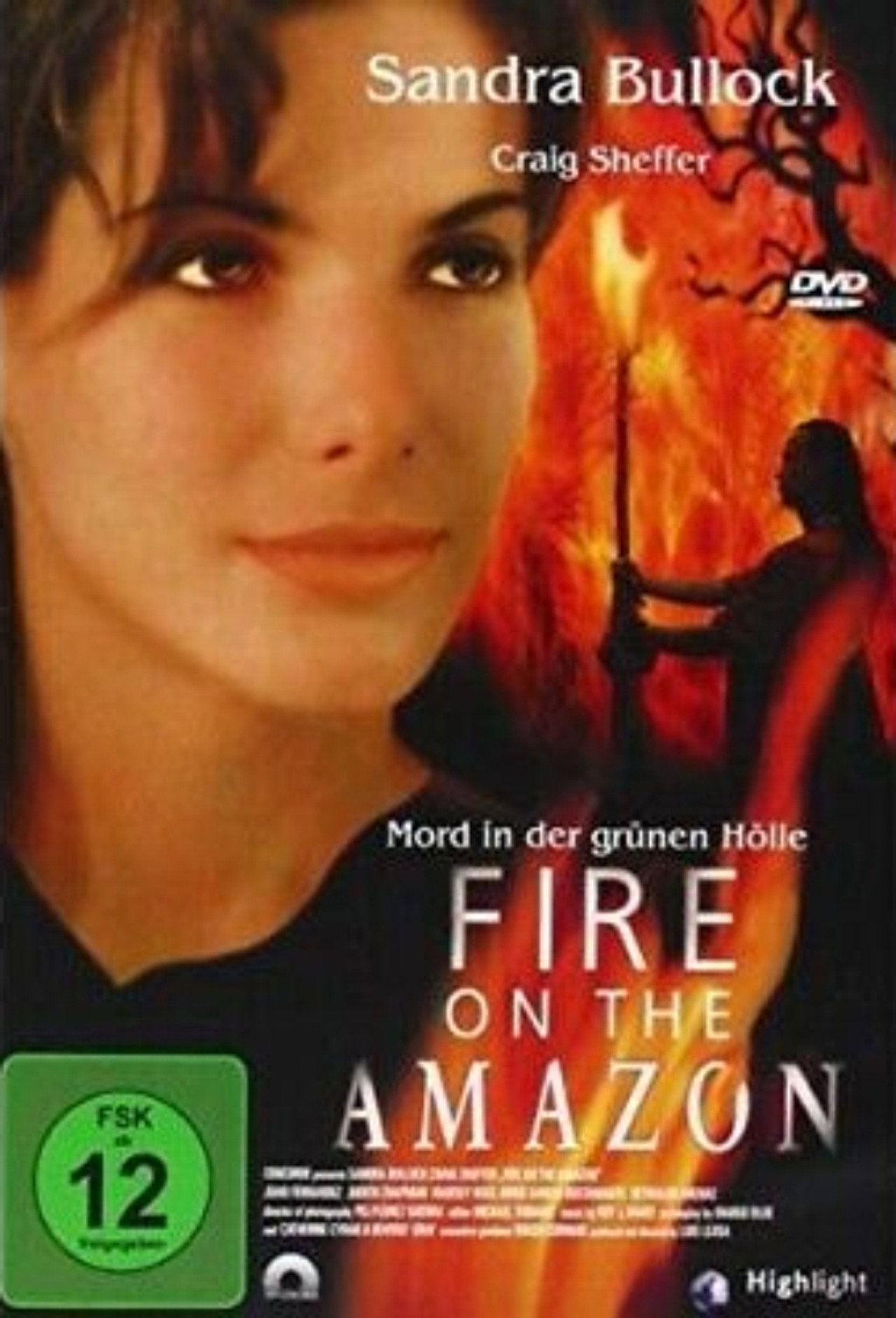 Fire on the Amazon