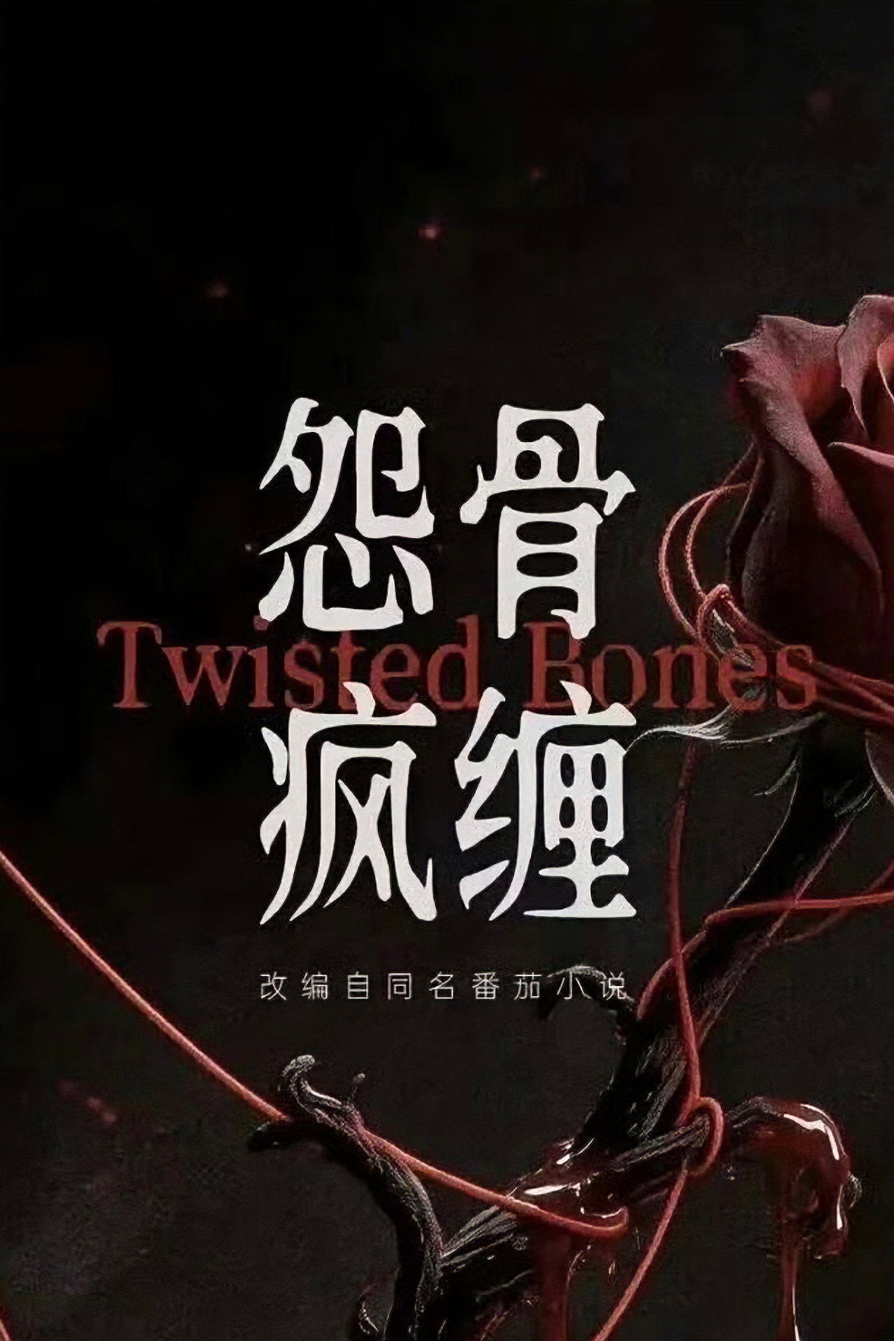 怨骨疯缠 poster