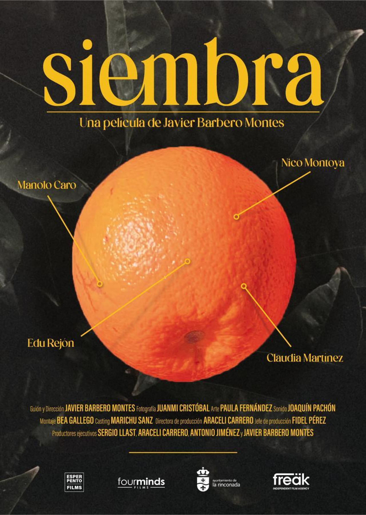 Siembra (c) Backdrop