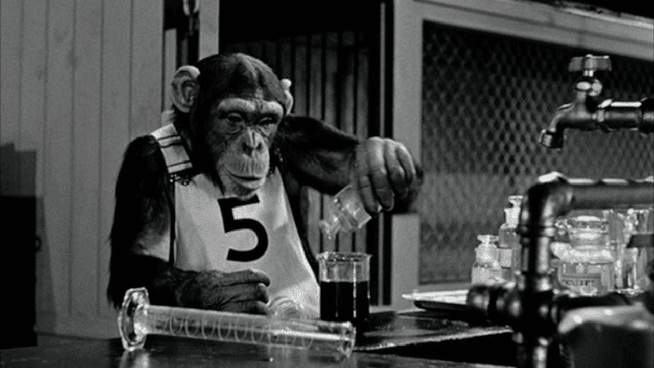 Monkey Business still