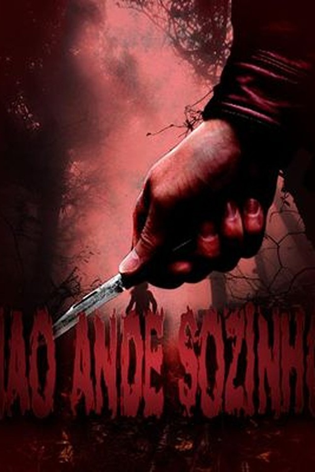 Não Ande Sozinho poster