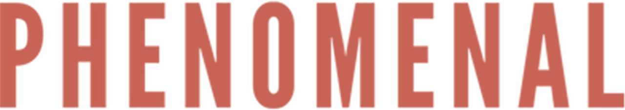 Phenomenal Media