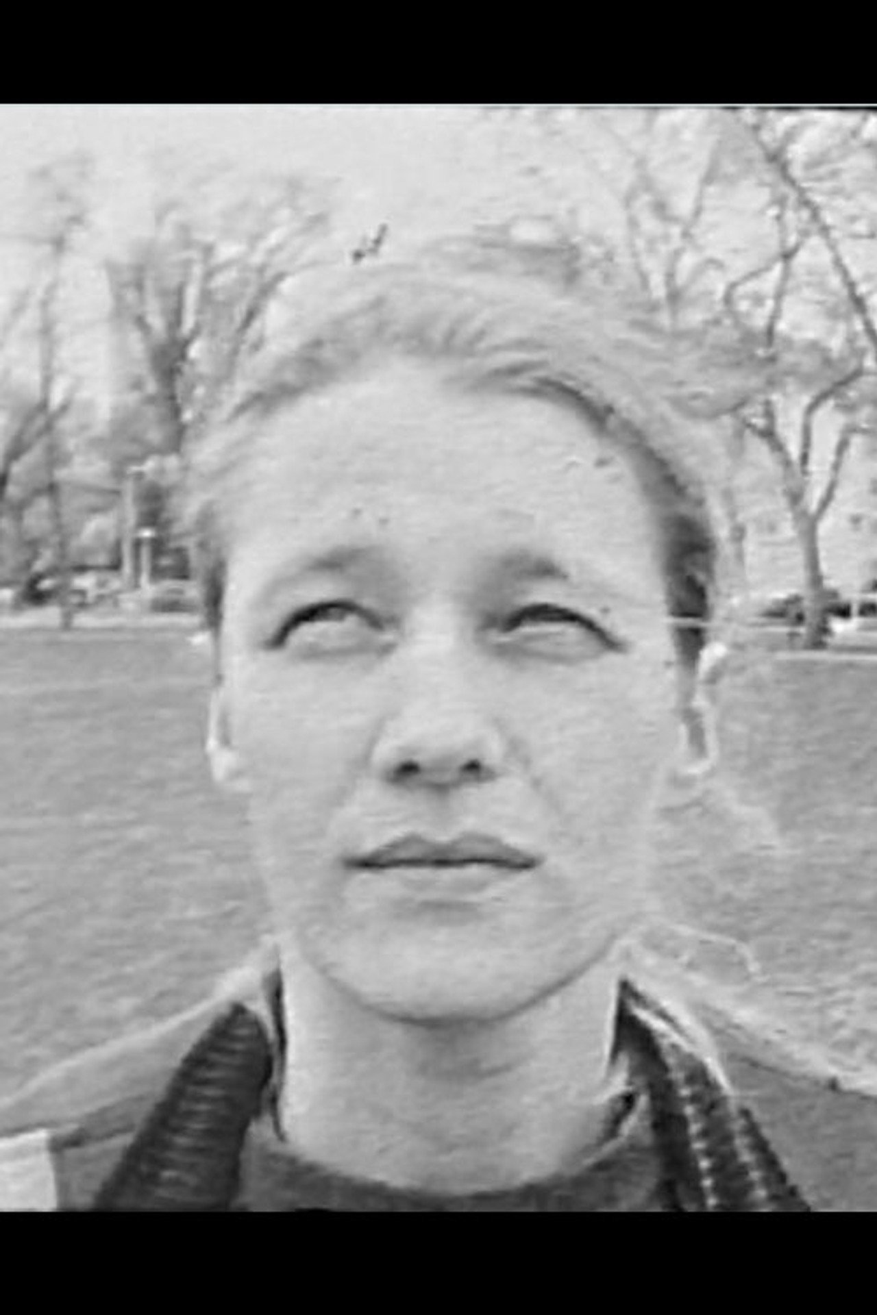 Memorial Park Backdrop